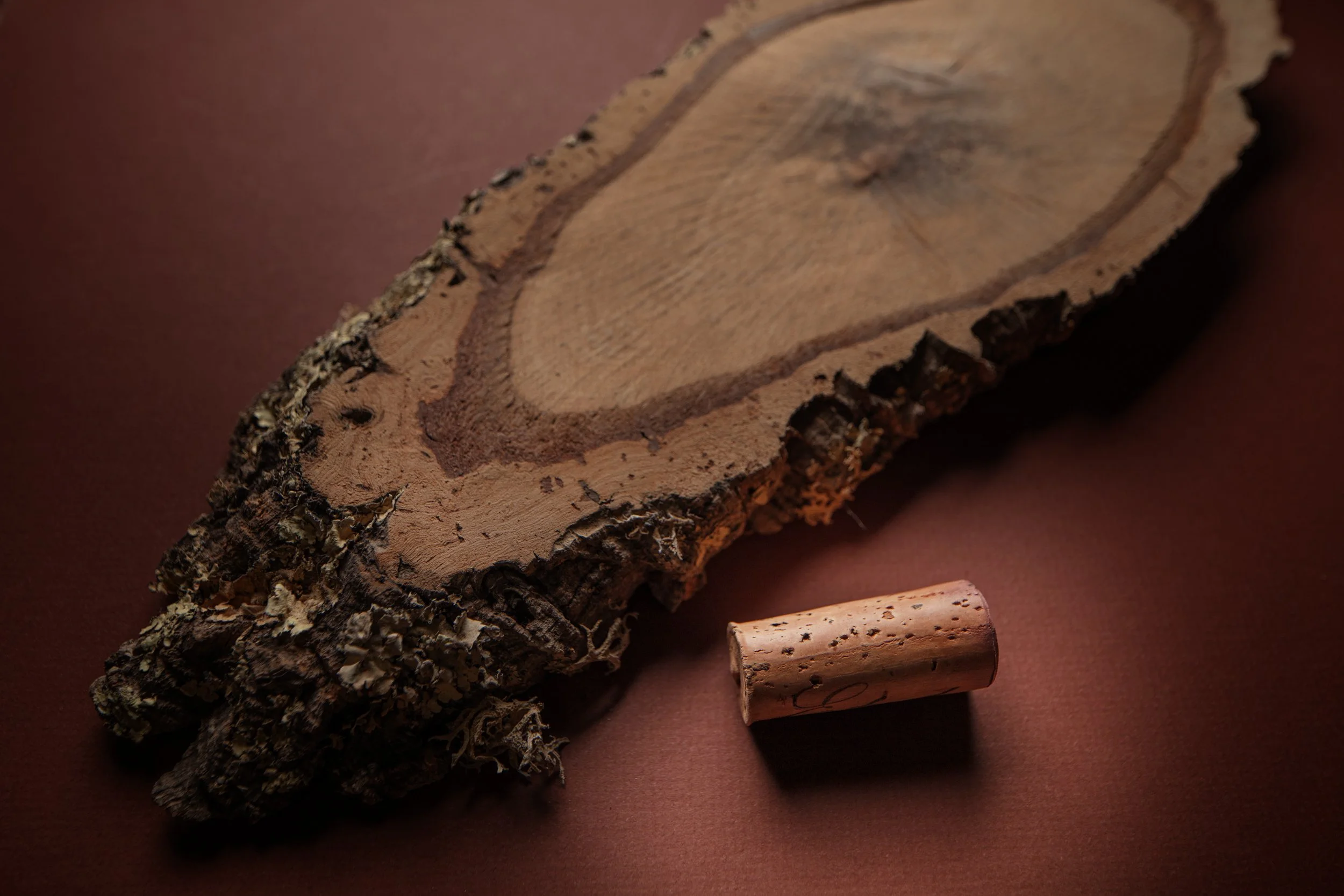 EDITORIAL (Wine Cork & Cork Bark)