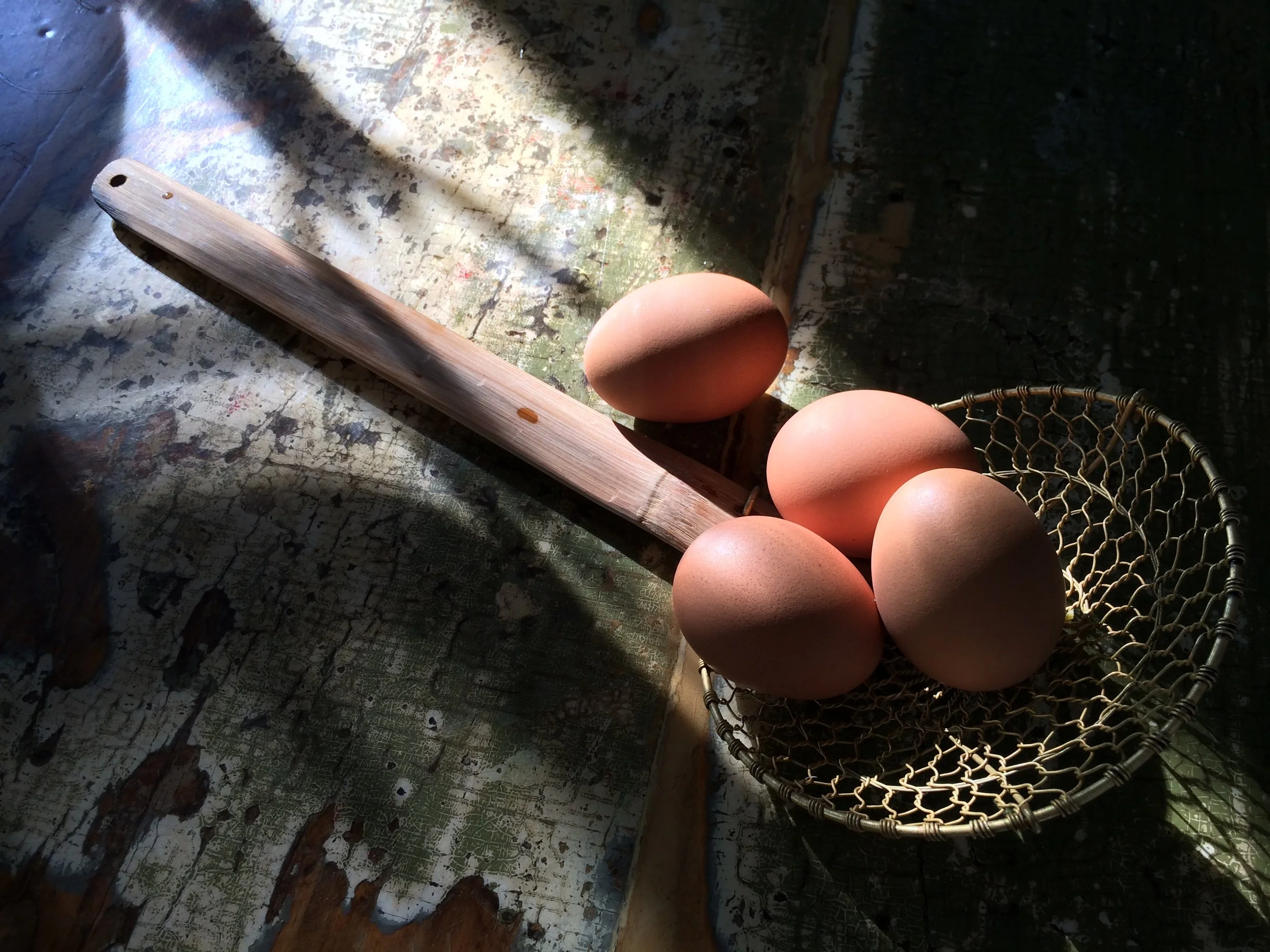 EDITORIAL (Eggs 1)