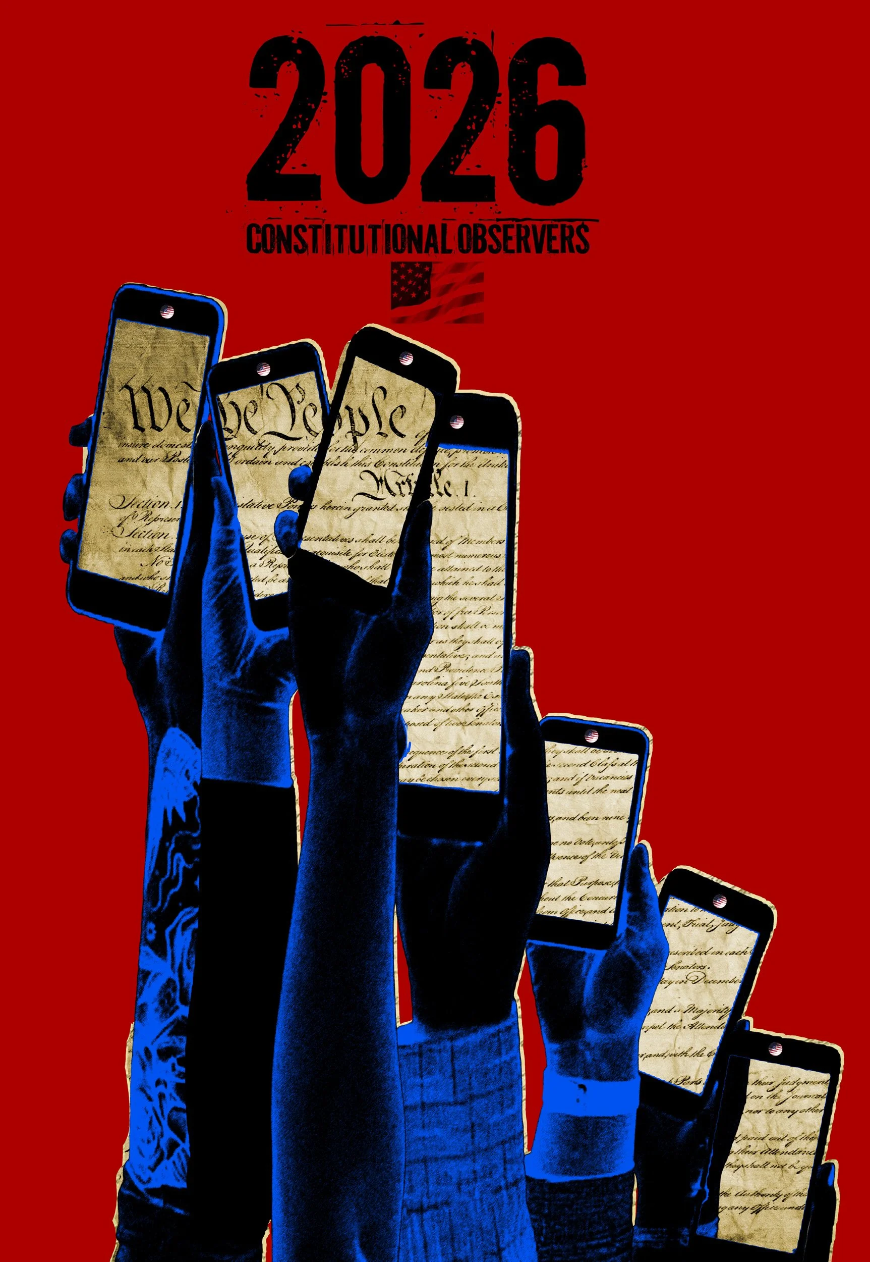 Constitutional Observers