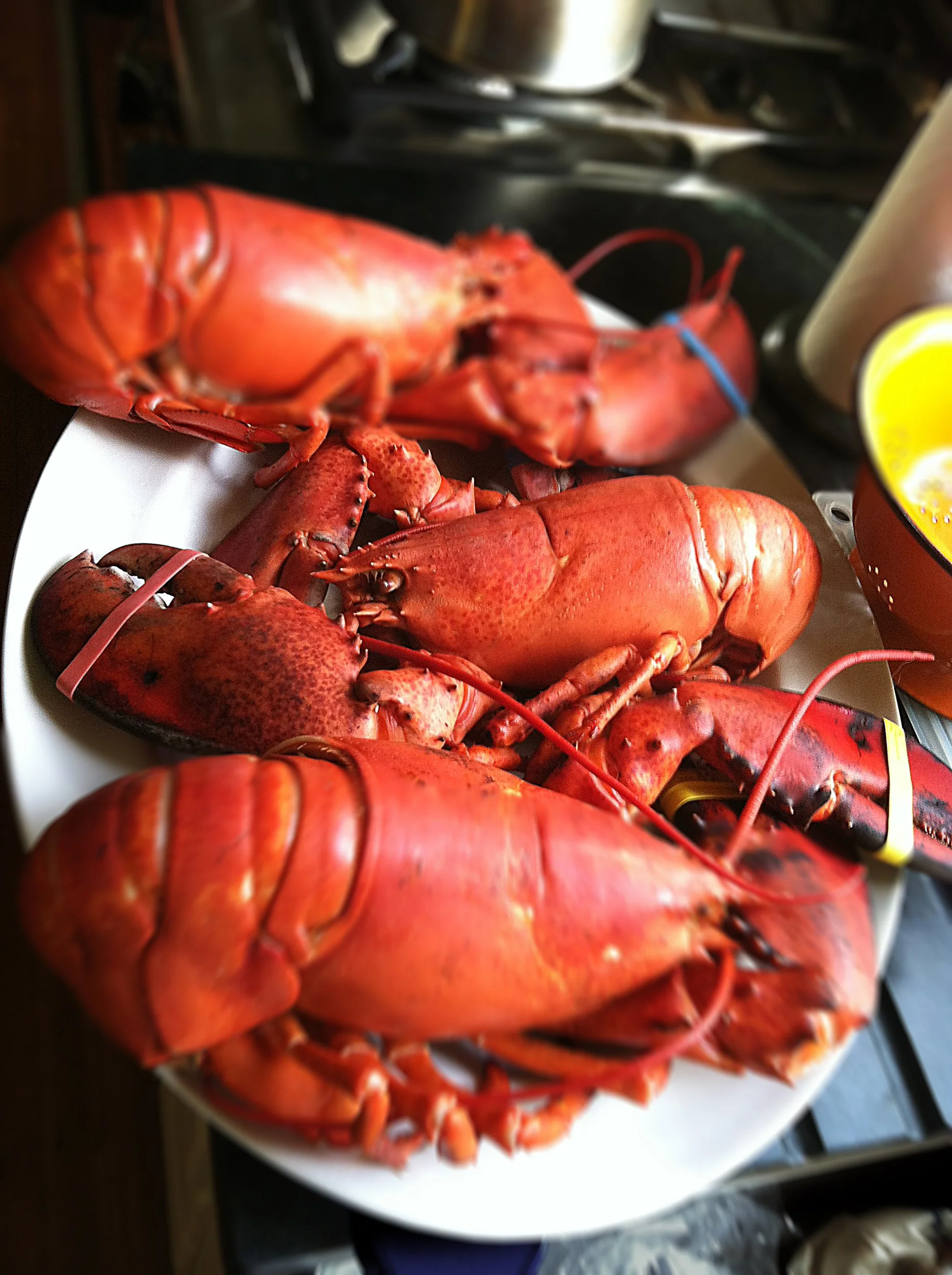 EDITORIAL (3 lobsters)