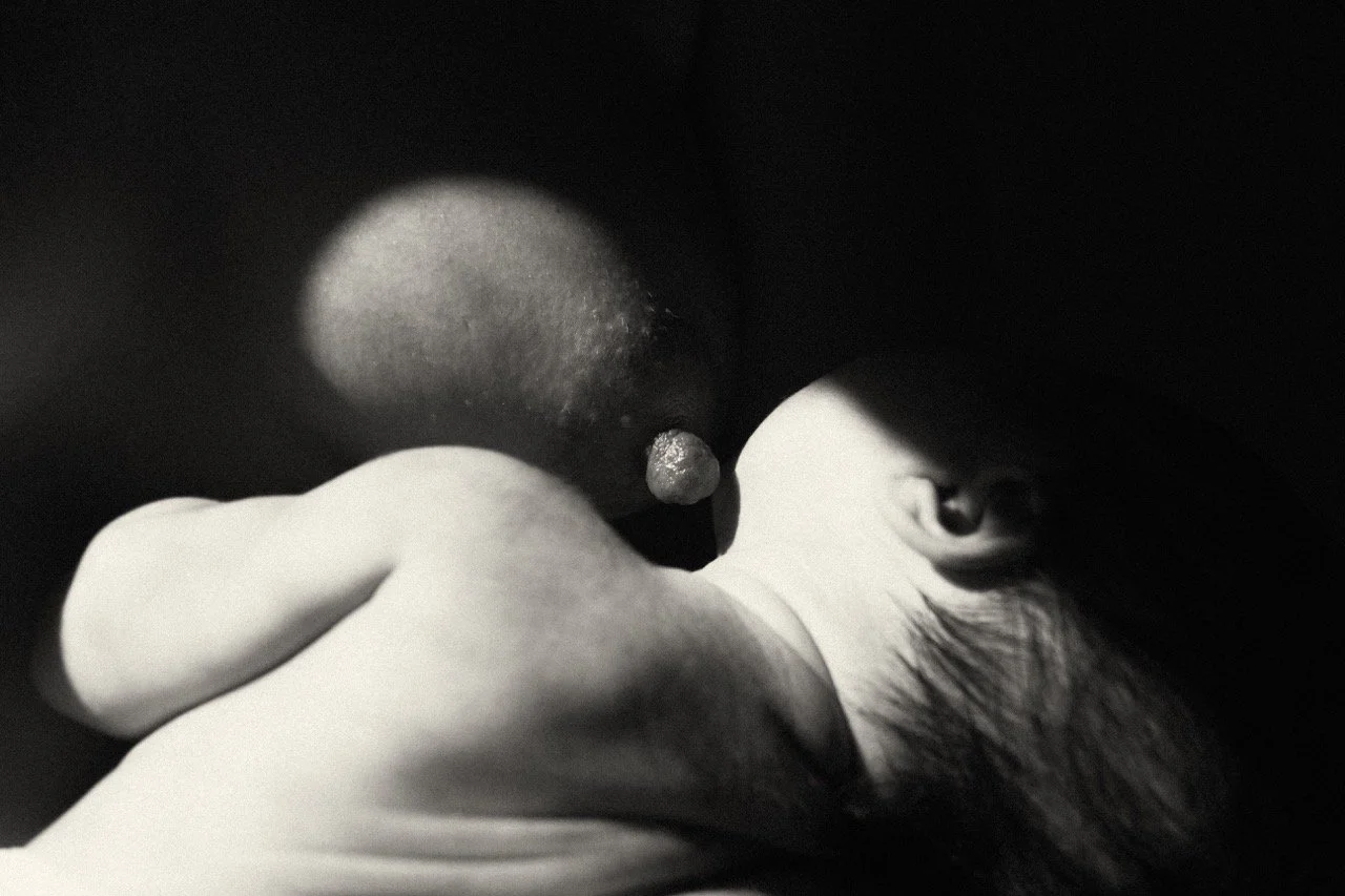 Intimate black and white close up of a newborn nursing at the breast — the quiet, unseen work of a new mother in the early days of feeding and bonding. Newborn photography by Noa Nguyen, Tokyo.