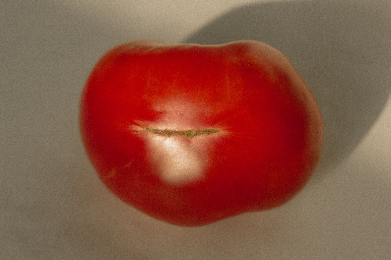 A tomato photographed in warm light focusing on skin mark — an intimate still life detail from a motherhood photography session by Noa Nguyen, Tokyo.