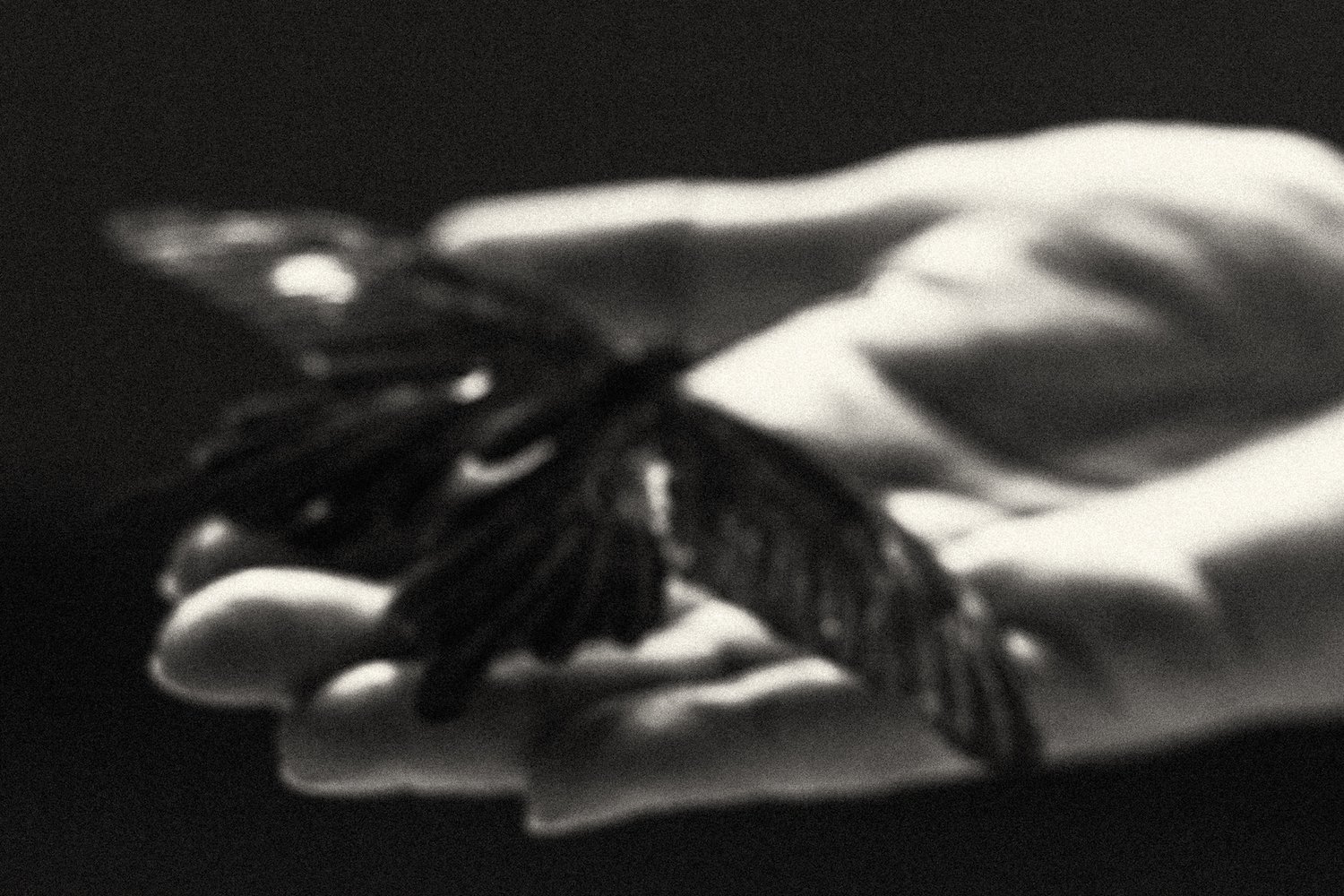 A soft-focus detail of a butterfly in a mother’s hand, emphasizing the delicate pause before a new chapter begins.