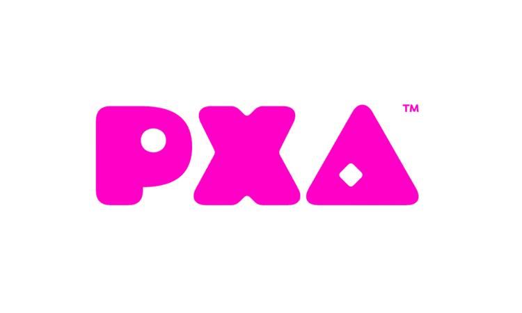 PXA Group.png