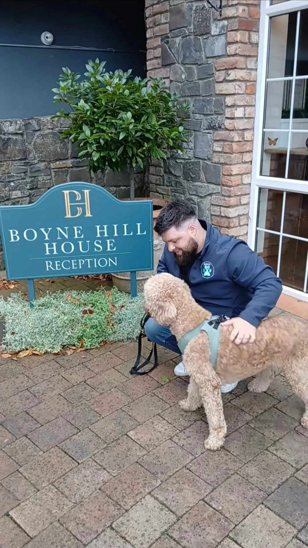 A man crouching and smiling at a large, fluffy, light-brown dog outside the Boyne Hill House Reception, near a brick and stone wall, with a green plant and a blue reception sign.