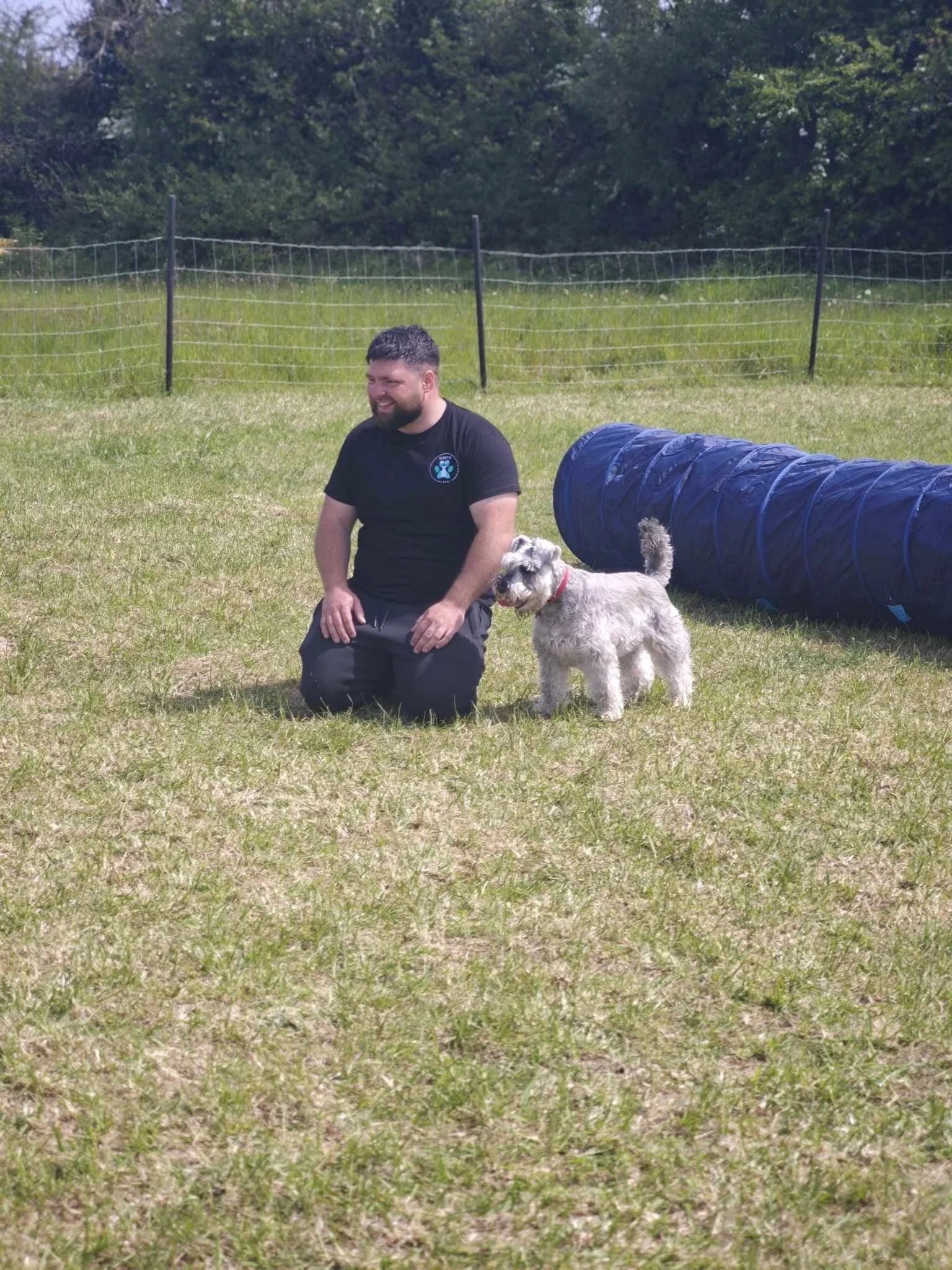 A white dog with black markings wearing a pink harness, running on grass with a multicolored ball in its mouth.