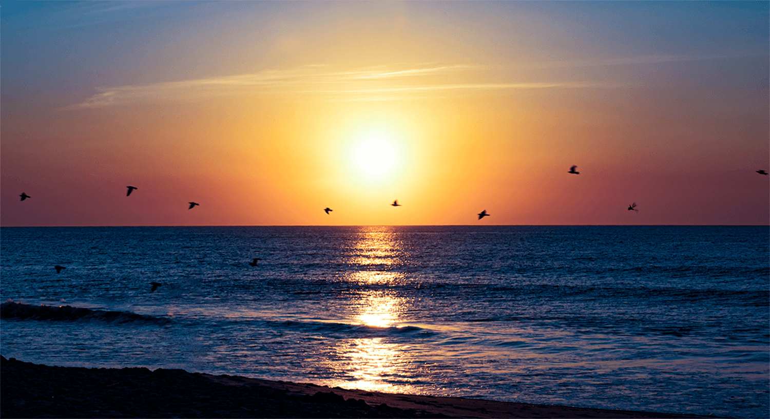 Sunrise and Seagulls over Wrightsville Beach, N.C.