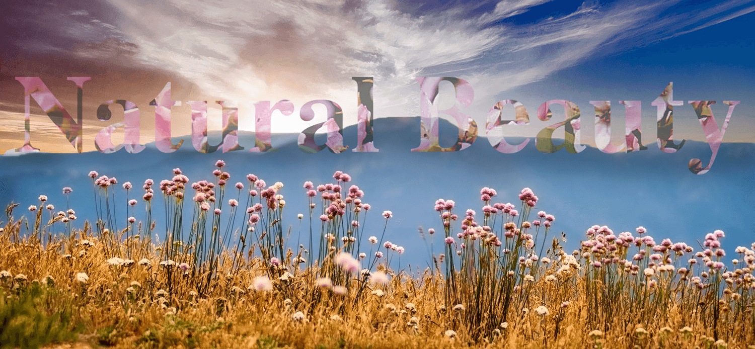 A composite image I made for a media publishing course. I used the text wrap option to continue the flower scene throughout. The wildflowers and the mountains are similar to what I got to see everyday when I lived in the mountains.