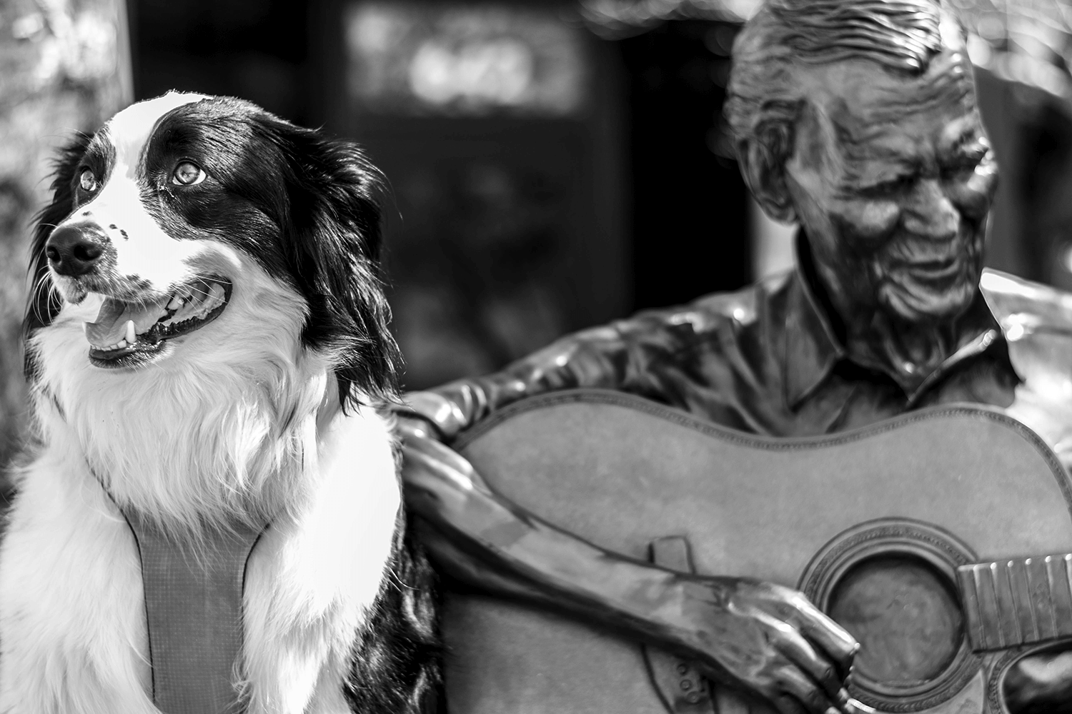 Good Boy with Doc.png