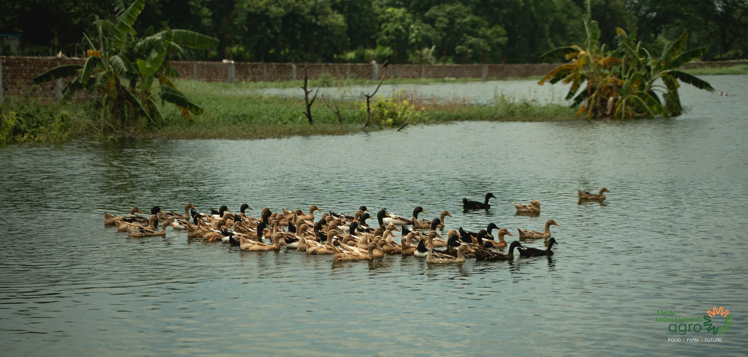 _DSC9561.jpg