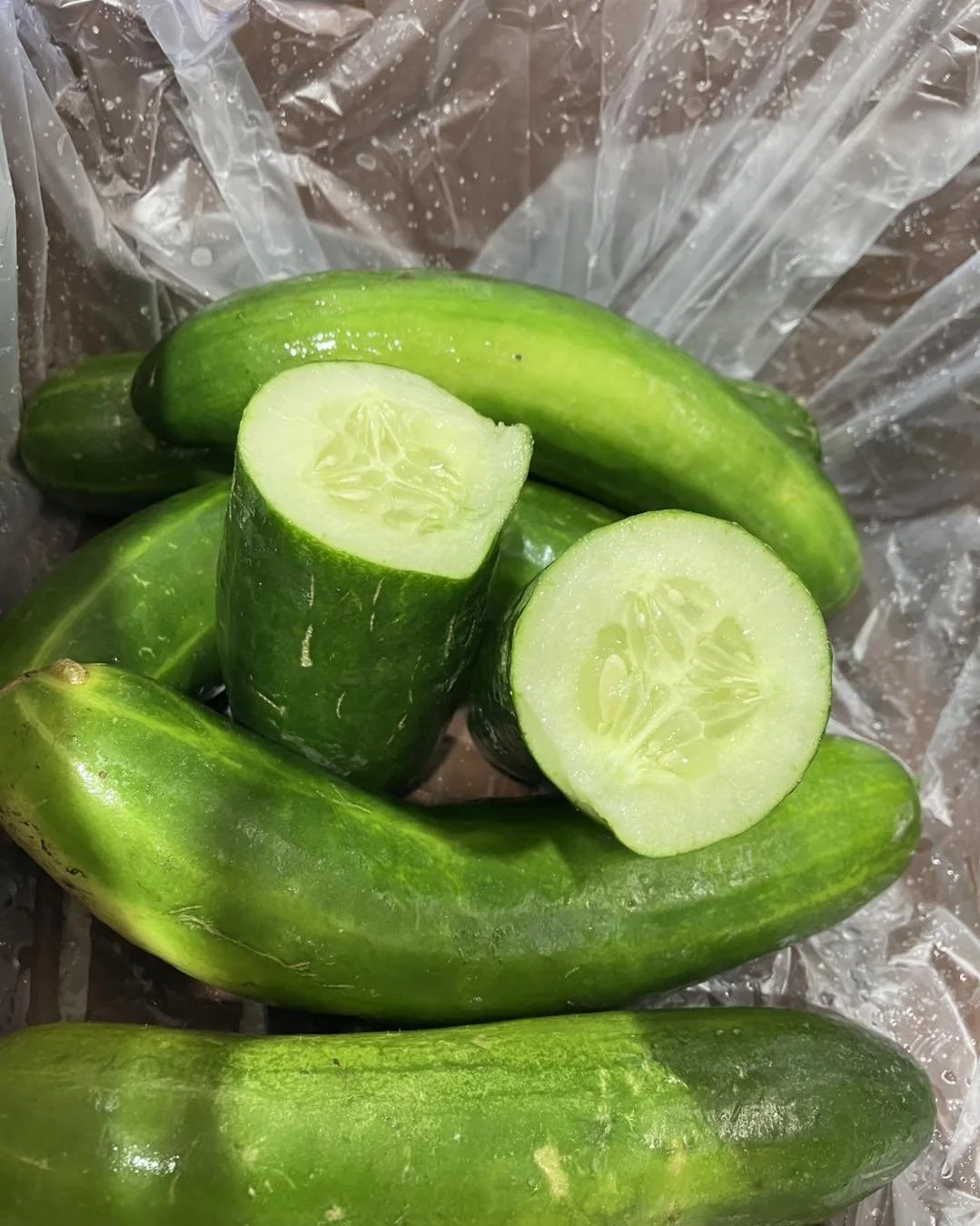 Cucumber