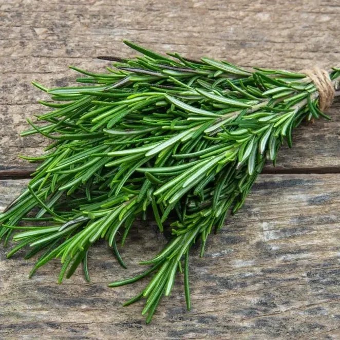 rosemary-bunch.jpg.webp