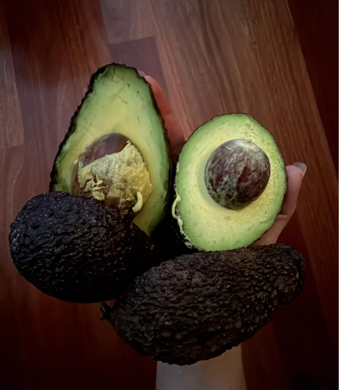 Karri Glade Avocados