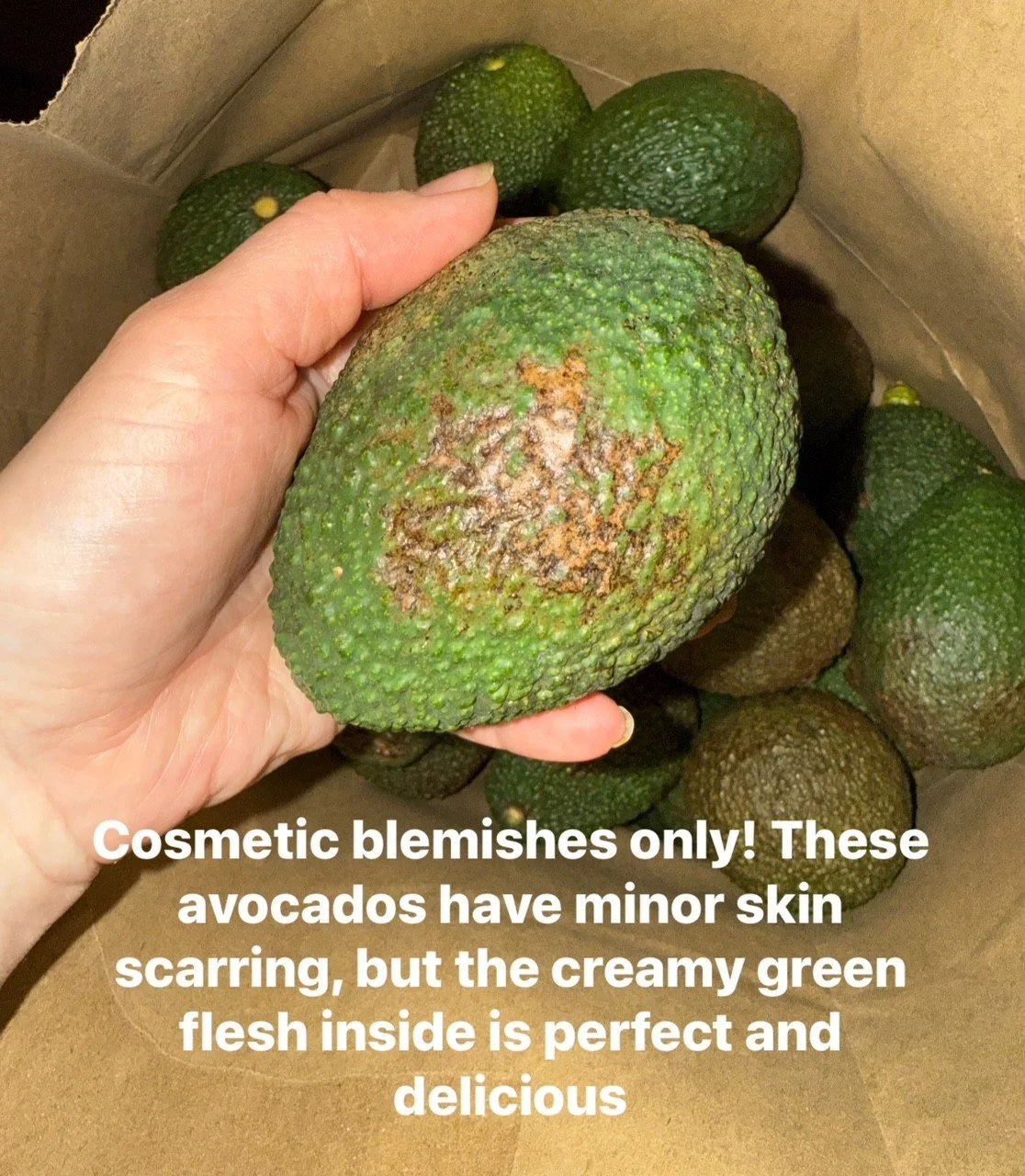 Cosmetic Damage avocado.jpg