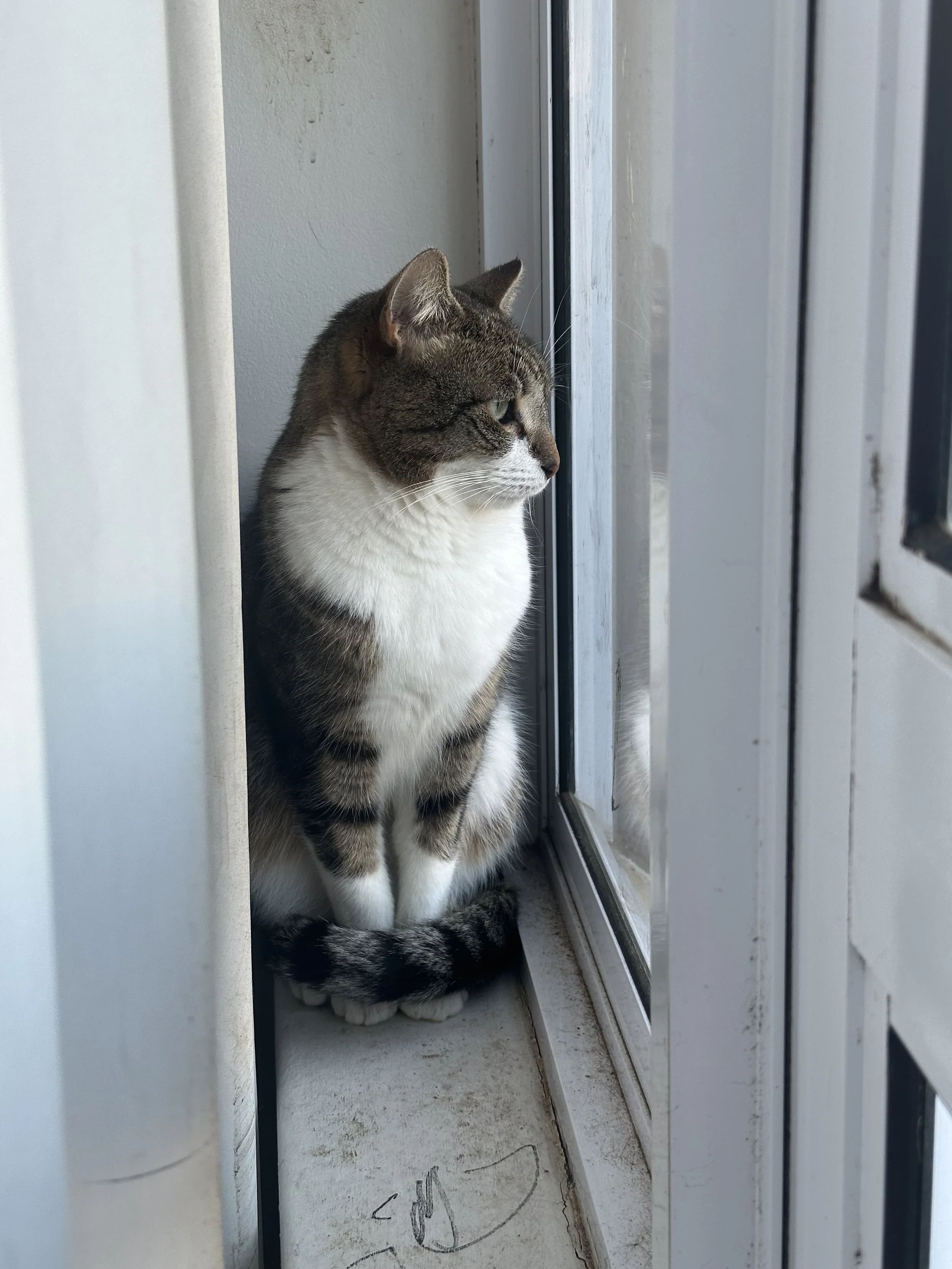 IMG_0409.jpeg