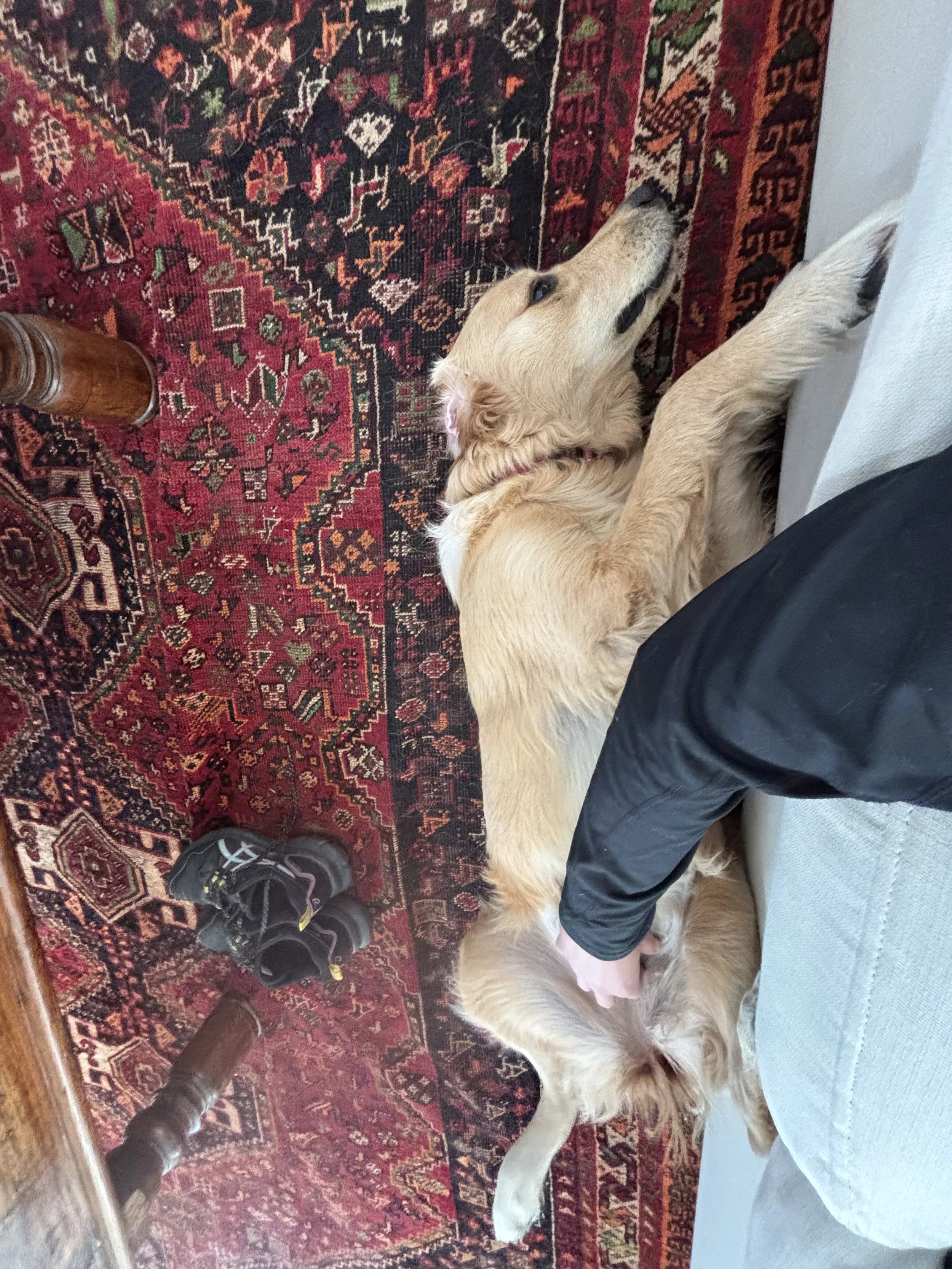 IMG_3439.jpeg