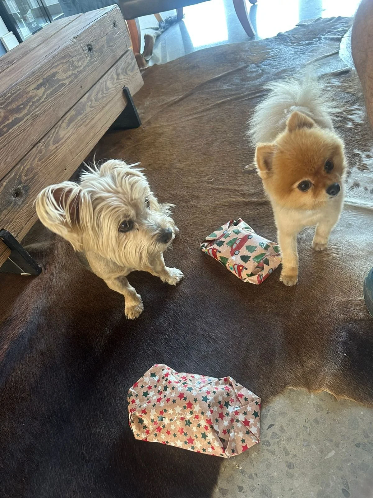 PHOTO-2025-12-18-20-04-00 2.jpg