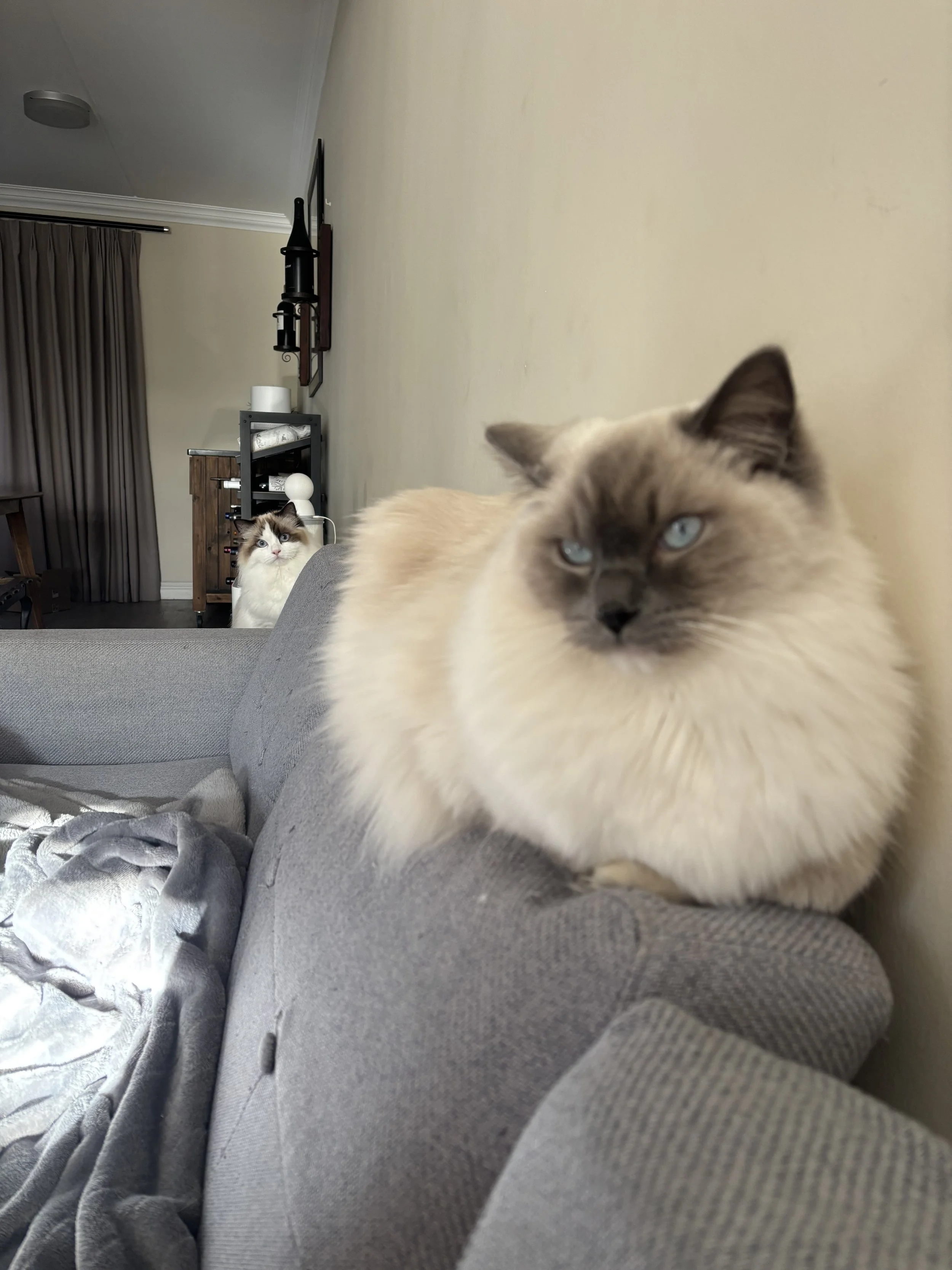 IMG_5725.jpeg