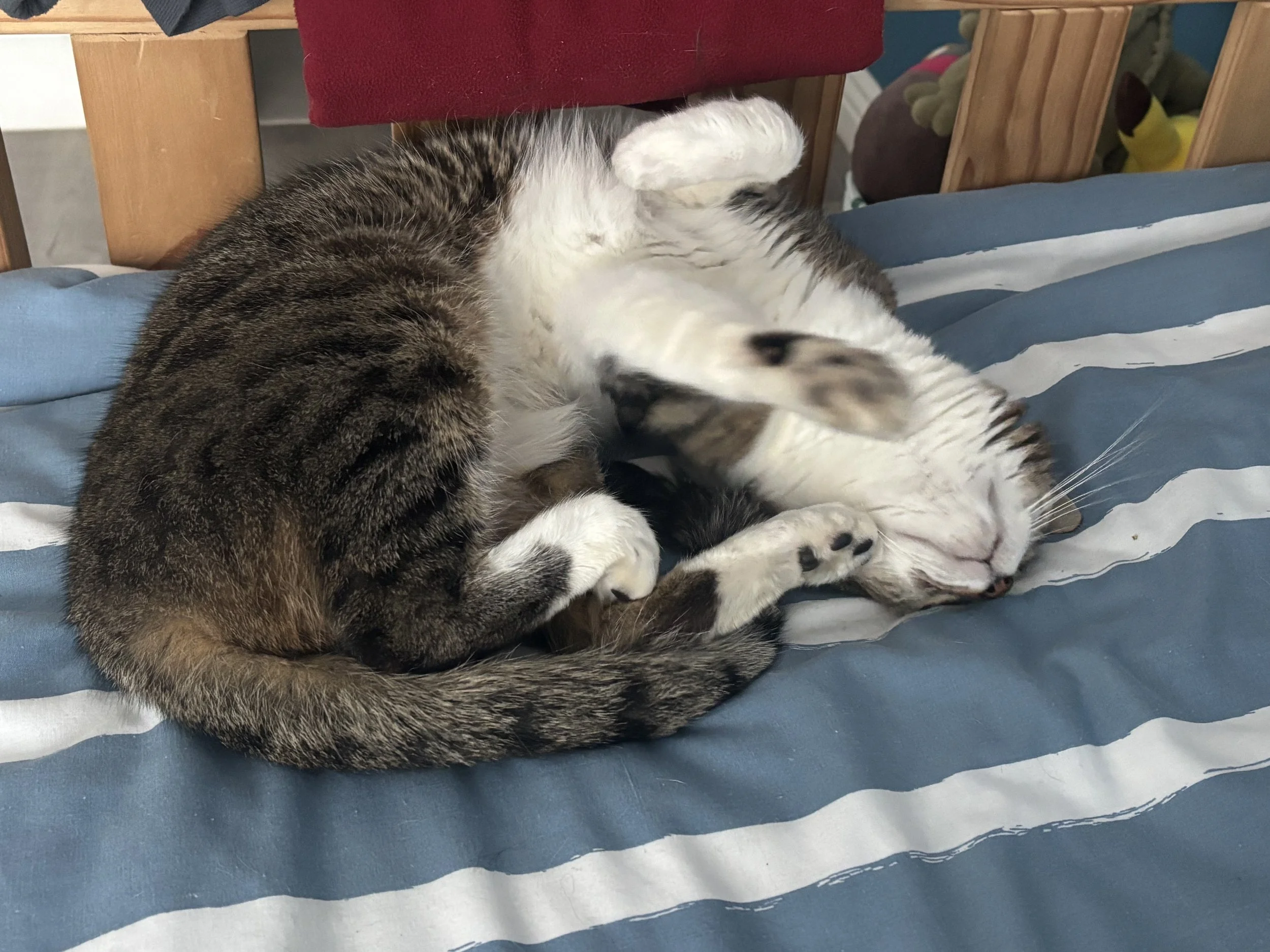 IMG_5891.jpeg