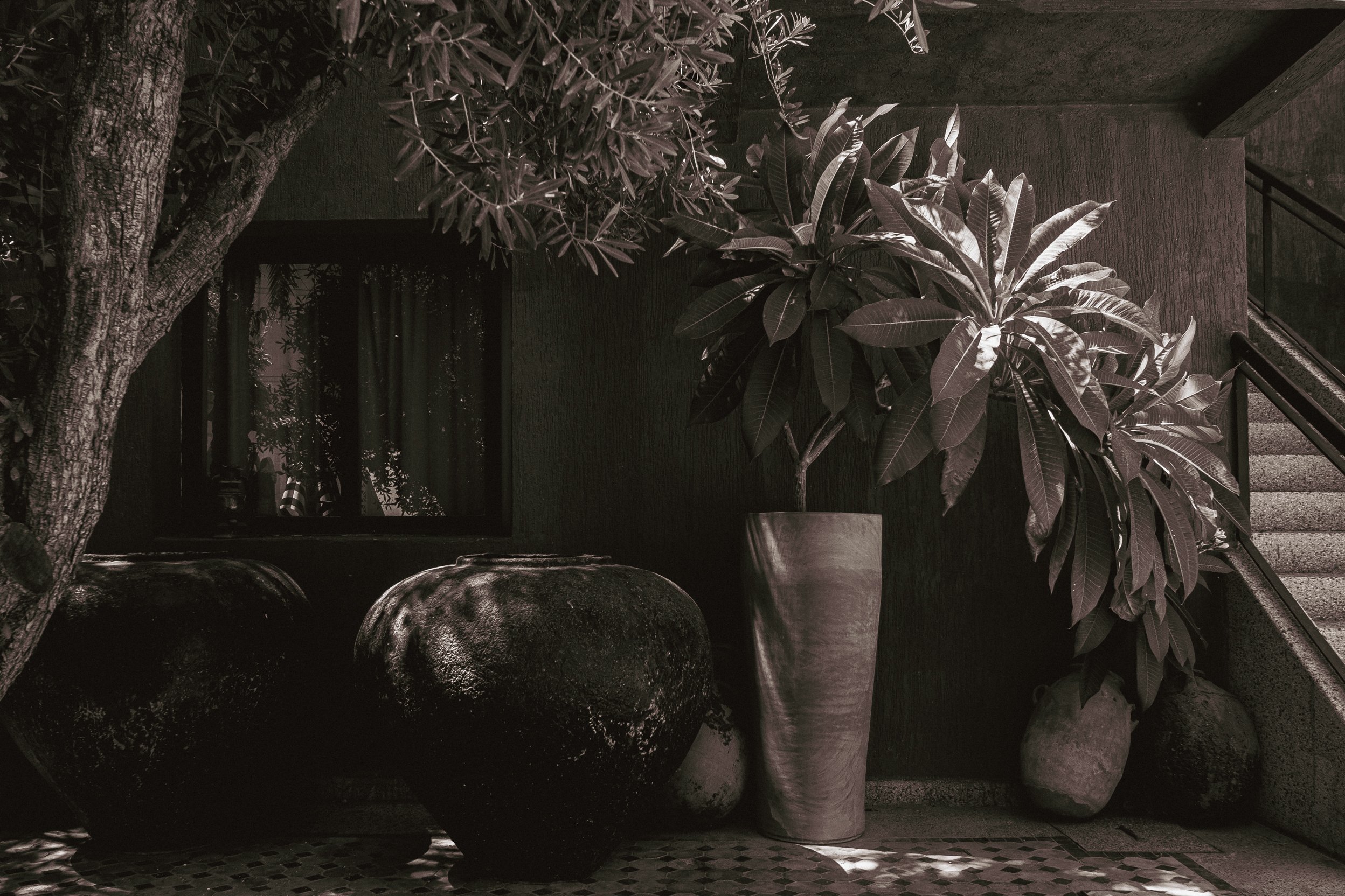 DSCF2029.jpg