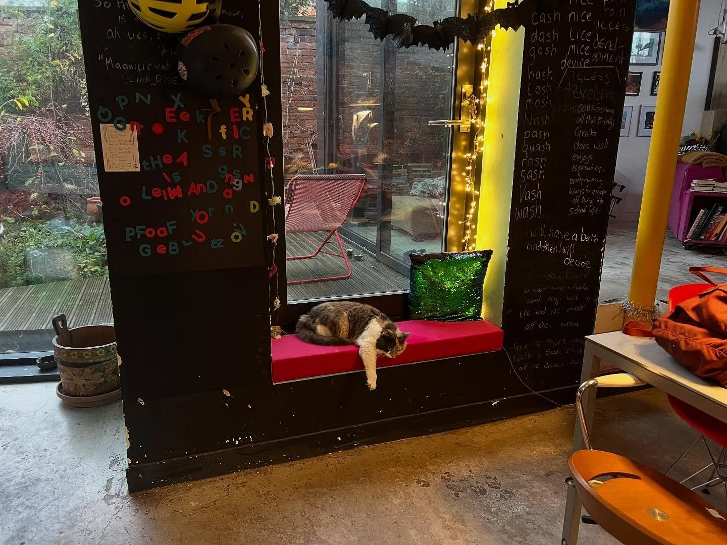 New space for sad cats @the.ramphouse #deepwindows #windowseats #occupingspace #inclusivedesign @theacmcm