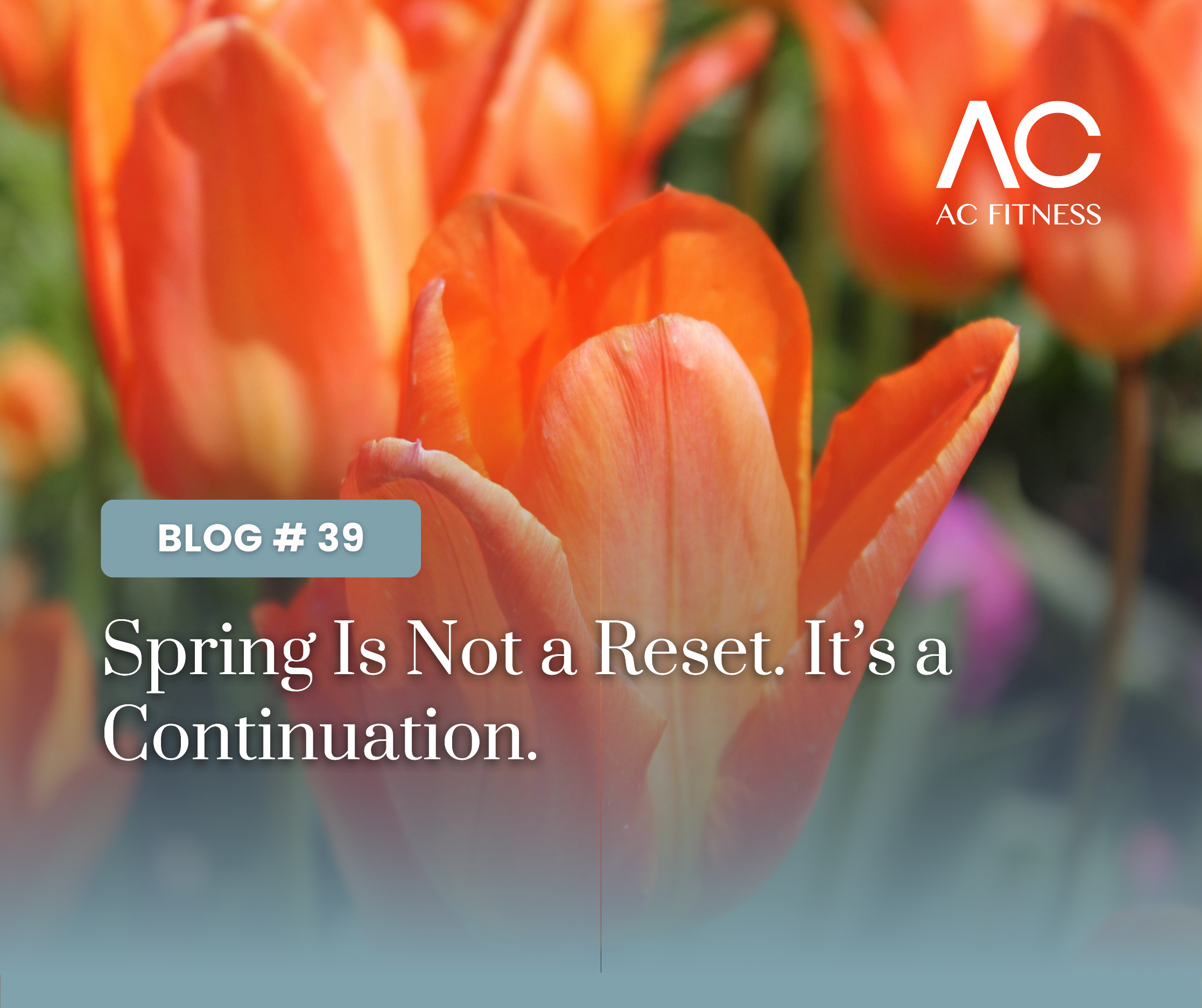Spring Is Not a Reset. It’s a Continuation.