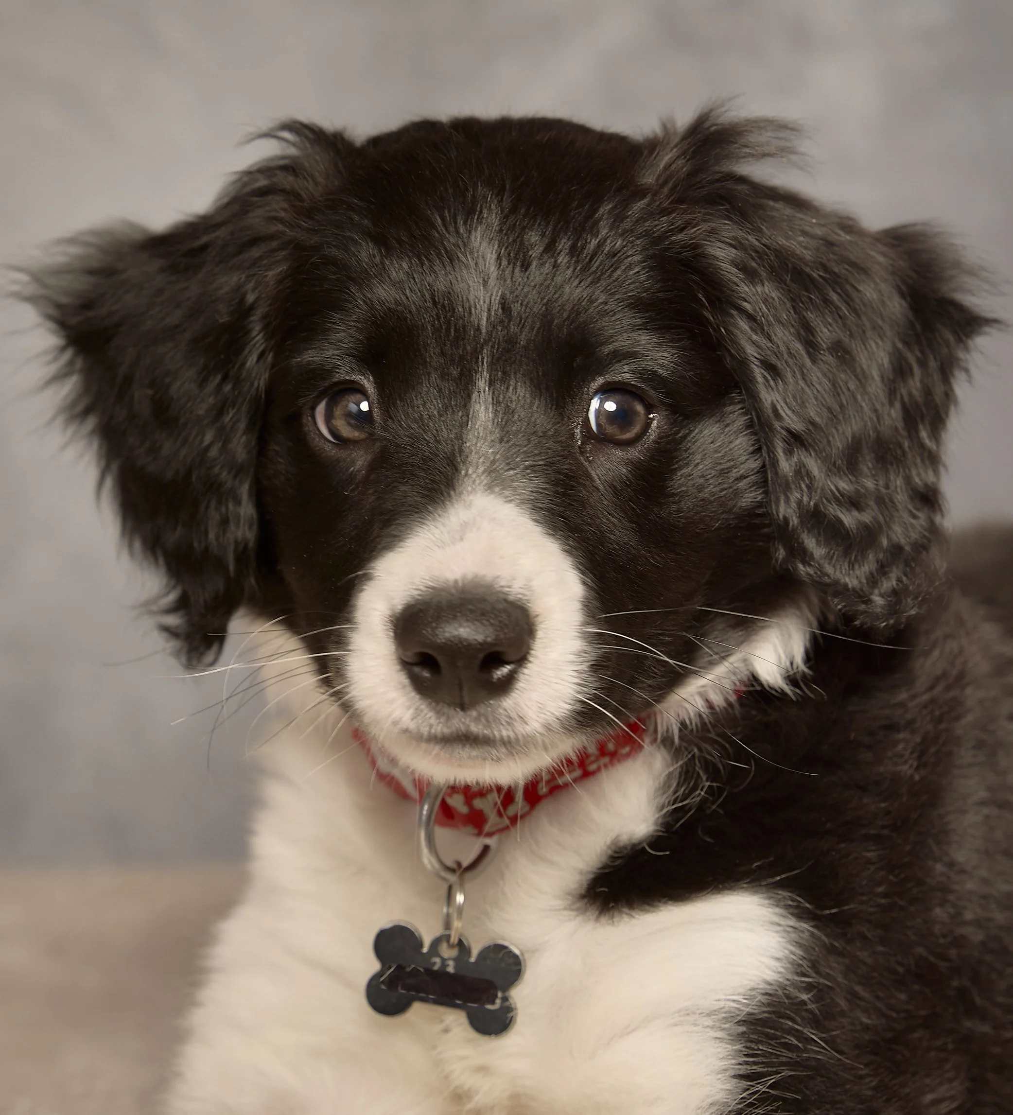Jessie_048.jpg