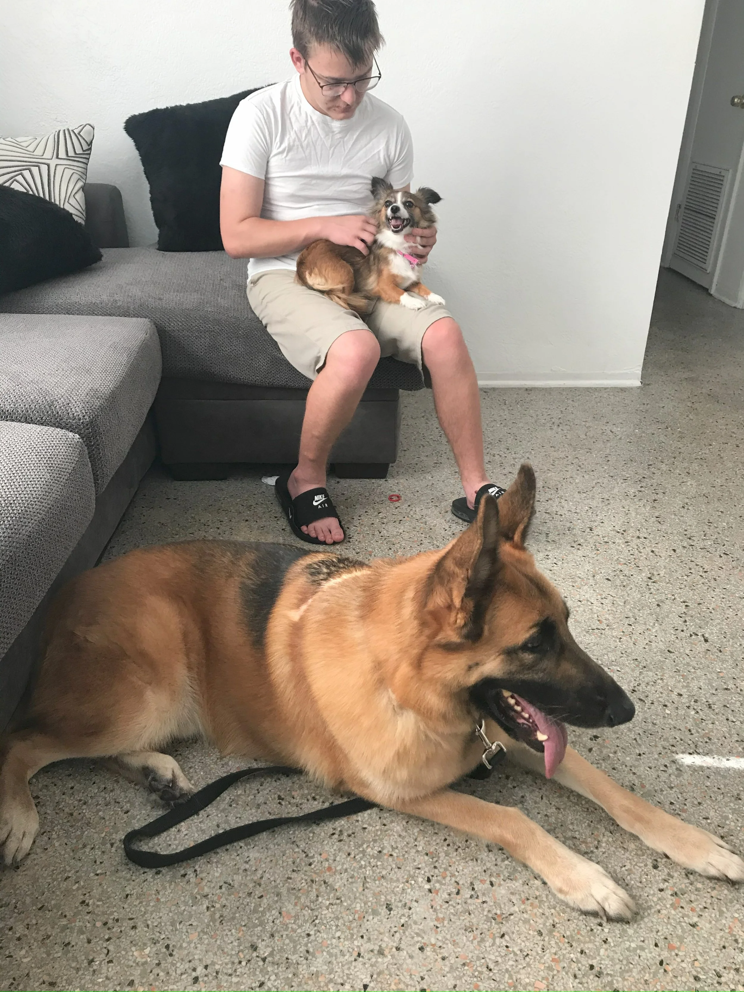 Pet therapy.jpeg