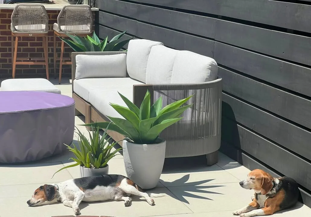 Pristine patios, approved by paws everywhere. (Side effects may include excessive sunbathing). 

#OakValleyCustomHardscapes #OakValley #PaverPatio #HardscapeDesign #OutdoorLiving #HomeUpgrade #ProjectGallery #HappyPups #Dog