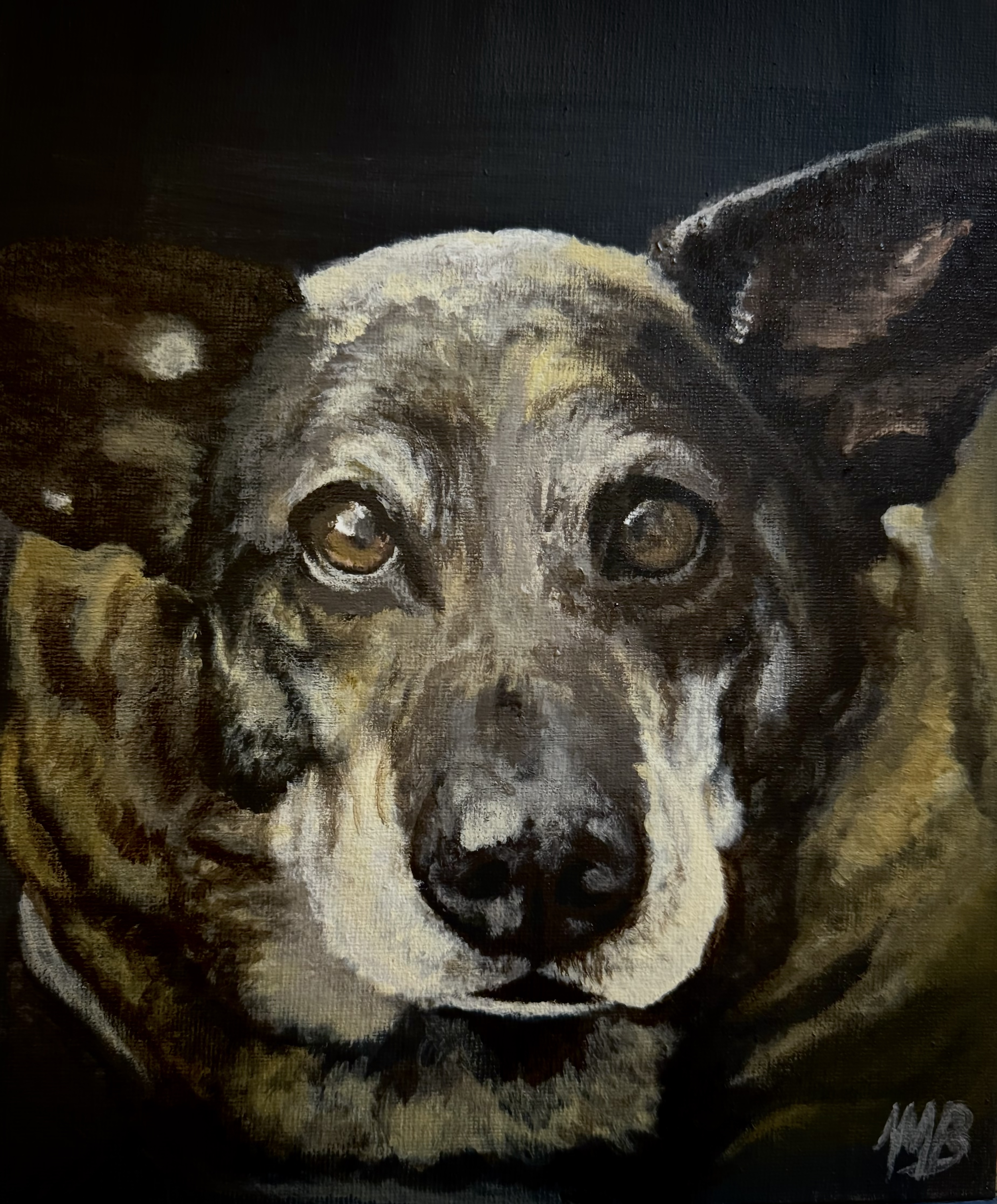 Doggo.png