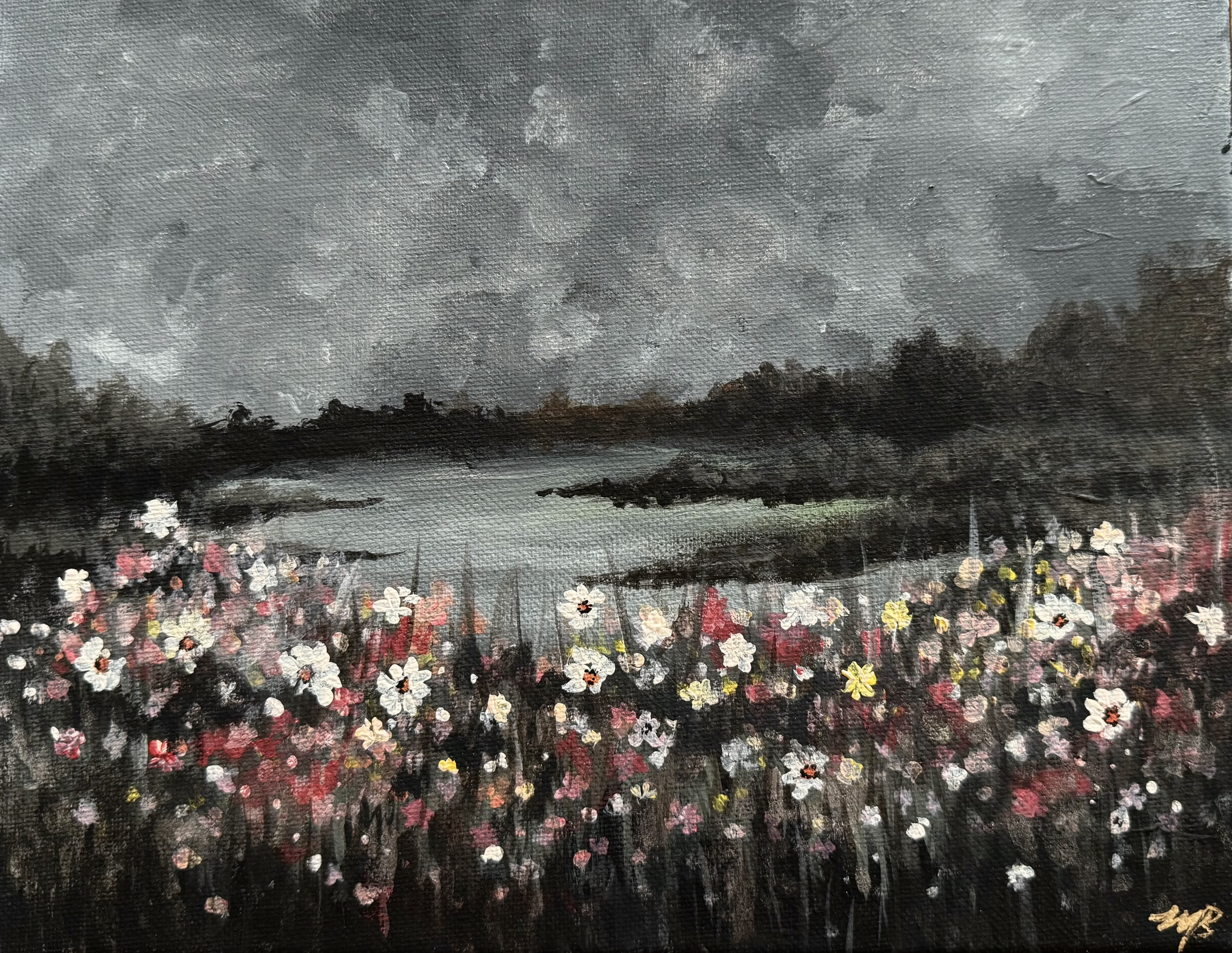 Dark Field