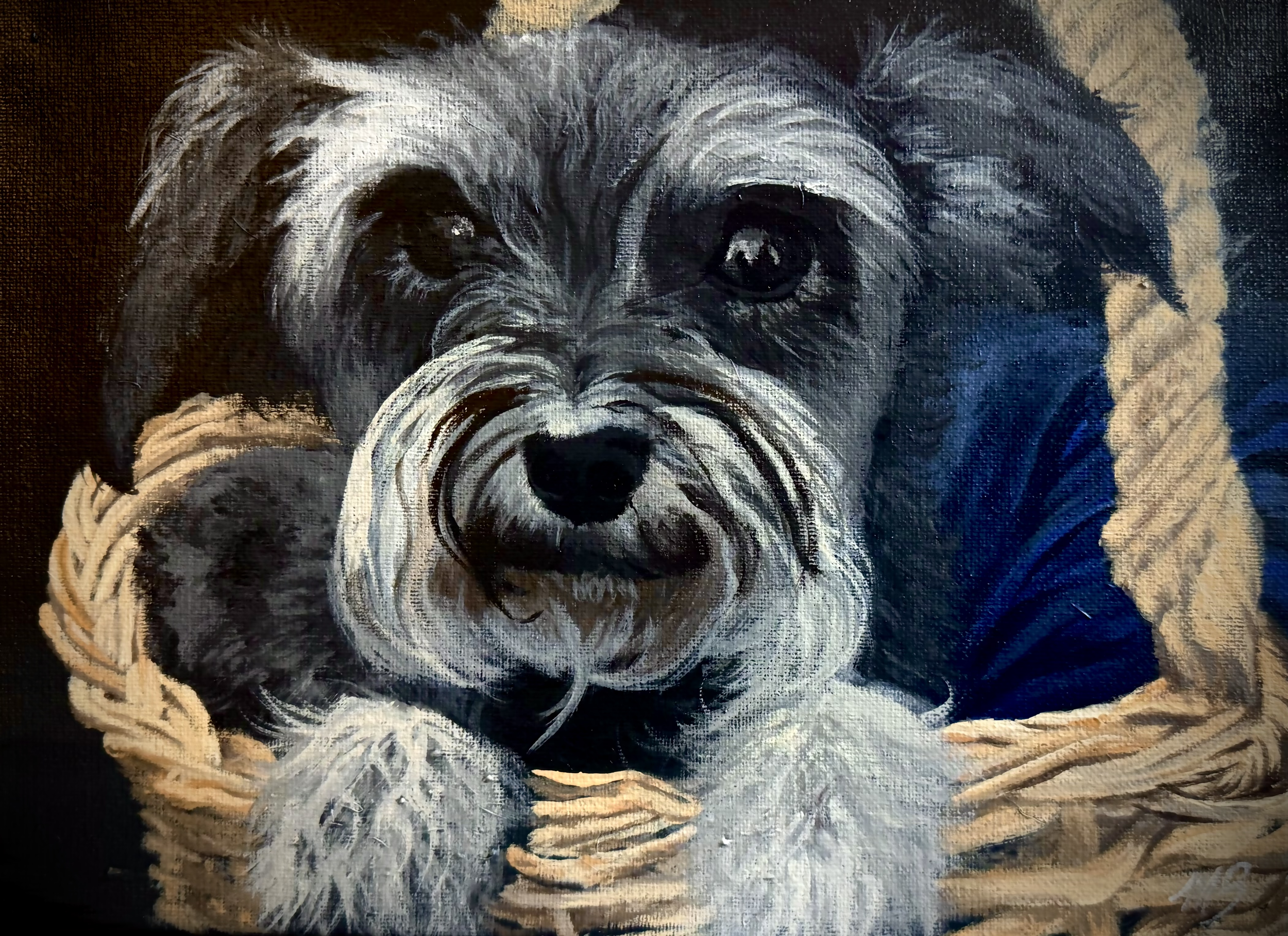 Basket Dog.png