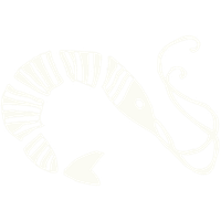 shrimpyprints