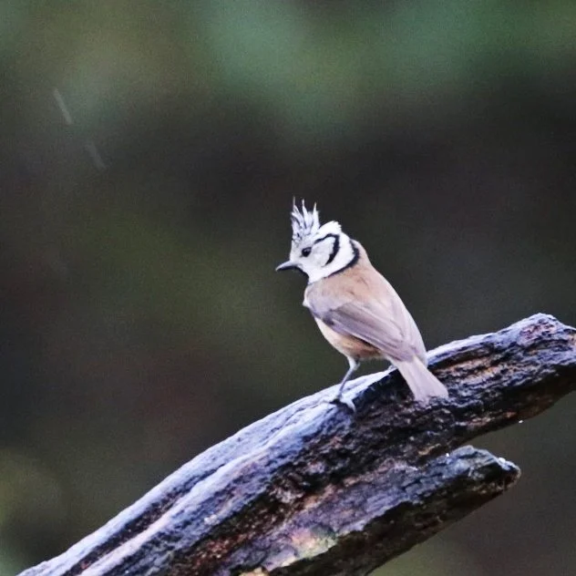 2022-01-05 16.51.06.jpeg