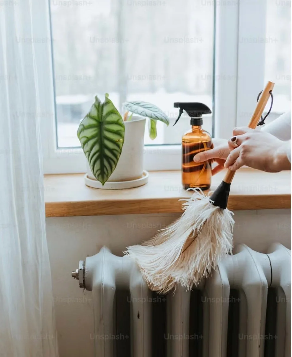 Person cleaning a radiator with a duster next to a window, with a potted plant and a spray bottle on the windowsill.