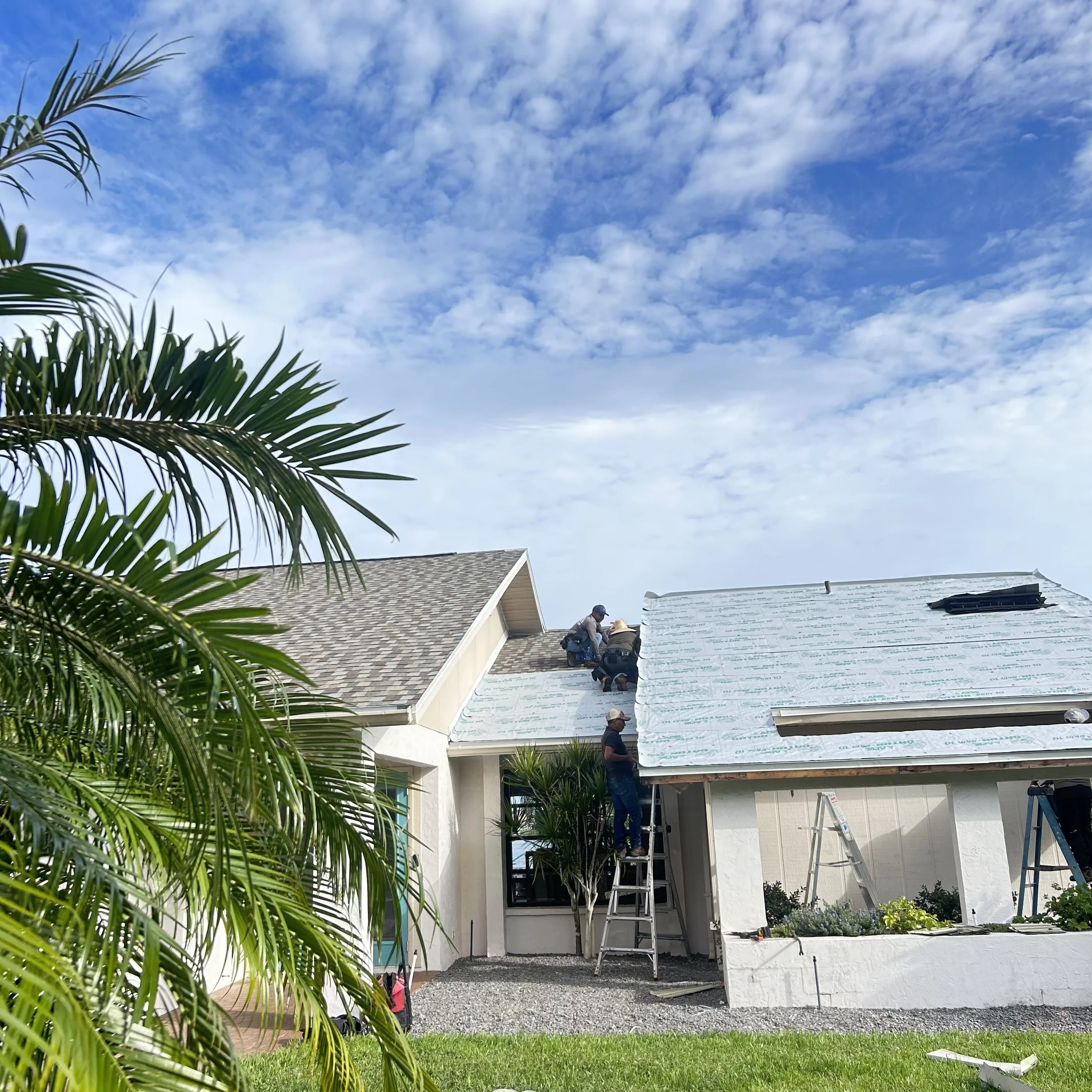 Shingle Roof Replacement