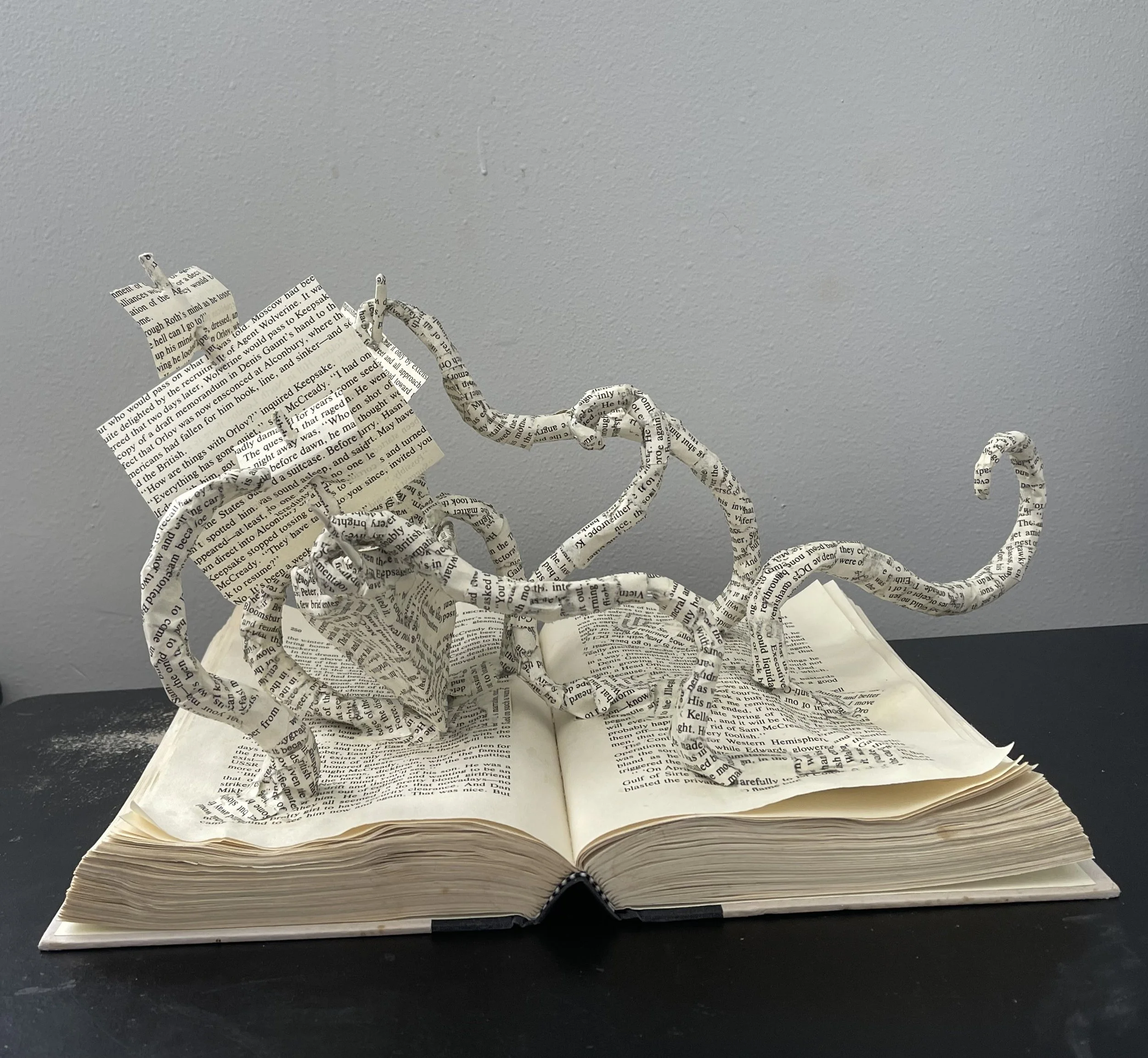 Hoist the Colors.Savannah James.Paper.16x9.5x9.5inch.$700.jpg