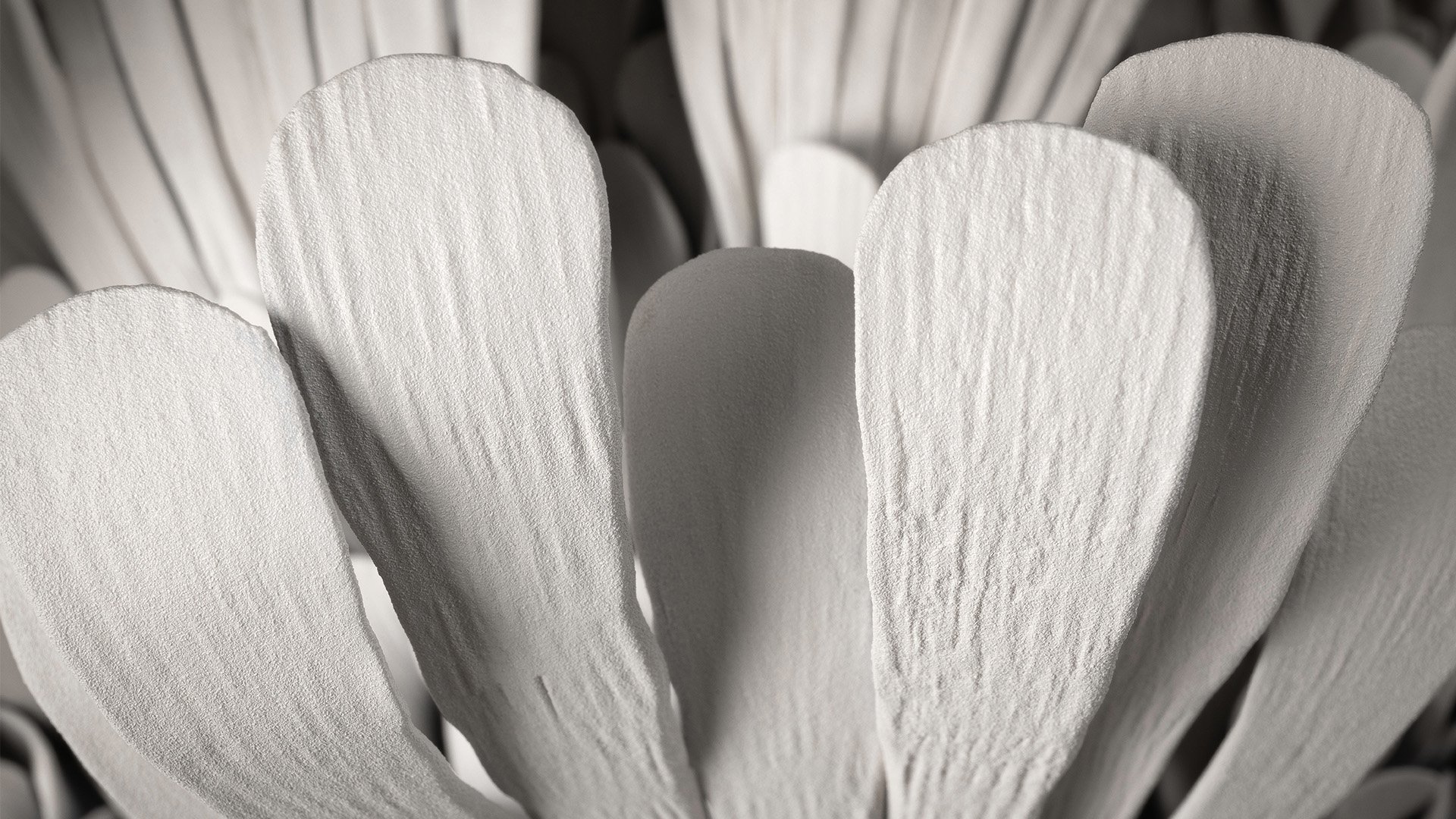 JM992.mori.sassoon_3_(c) Stephen Heaton_Extended.jpg