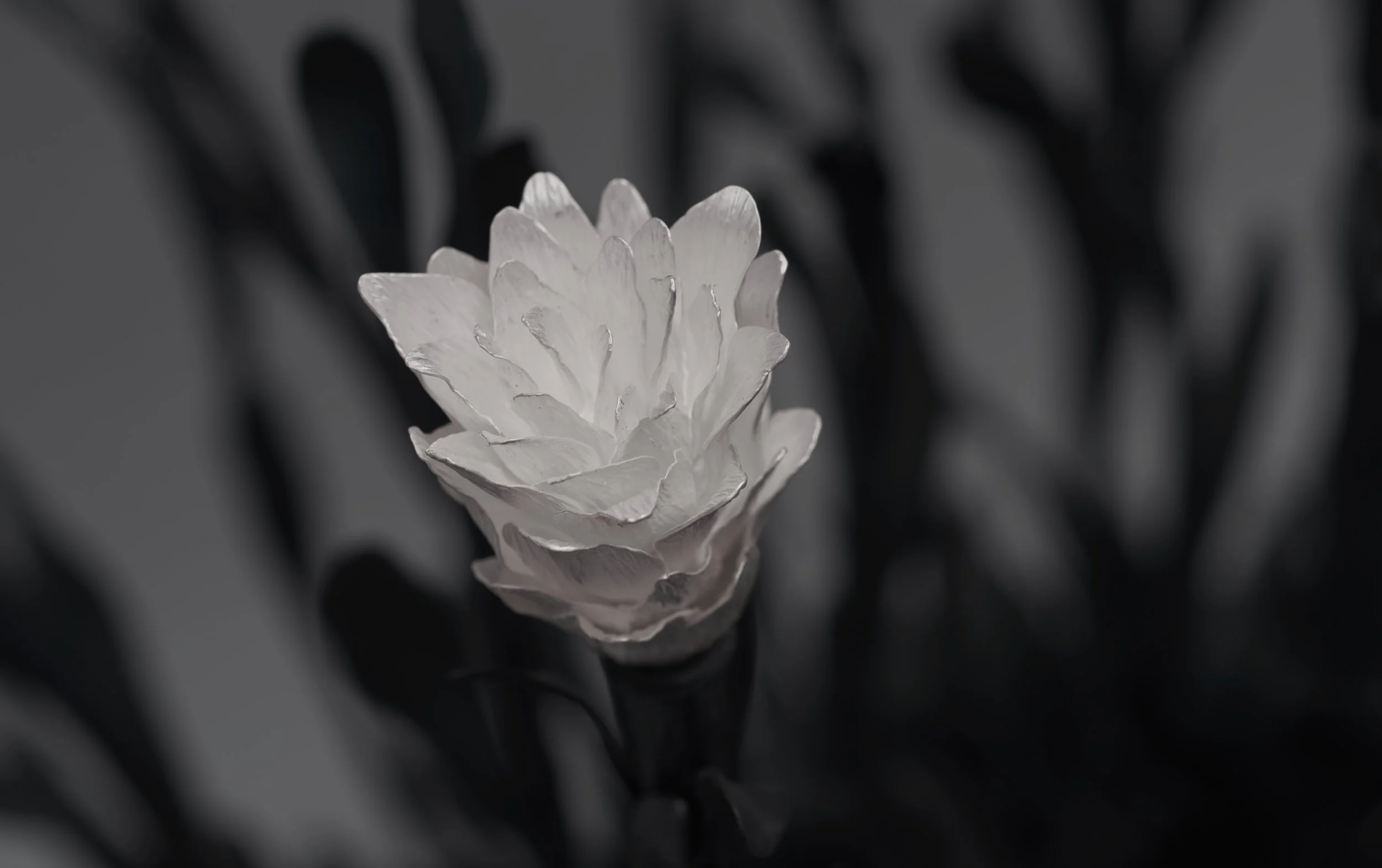 JM633_Sylvain Deleu_18.jpg