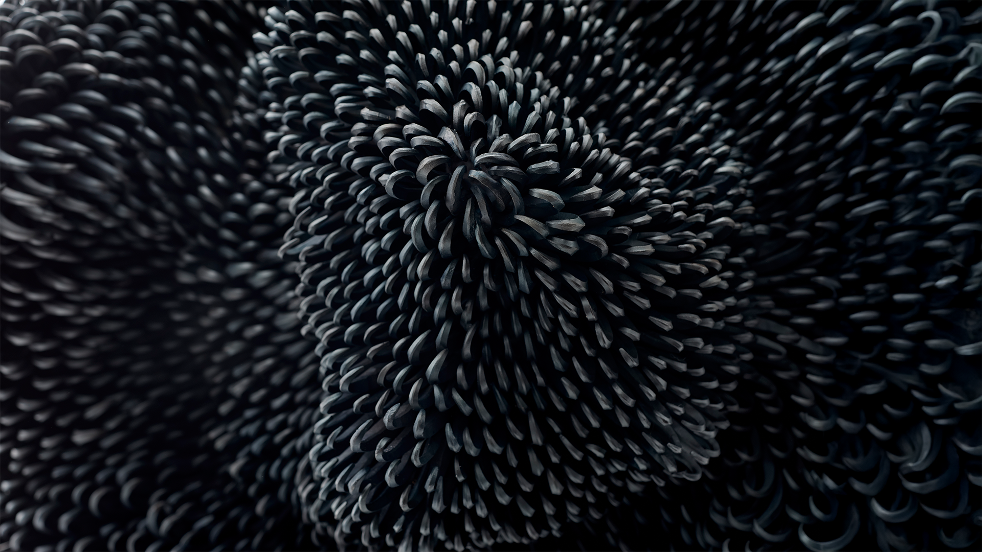 JM644_Sylvain Deleu_4_Extended.png