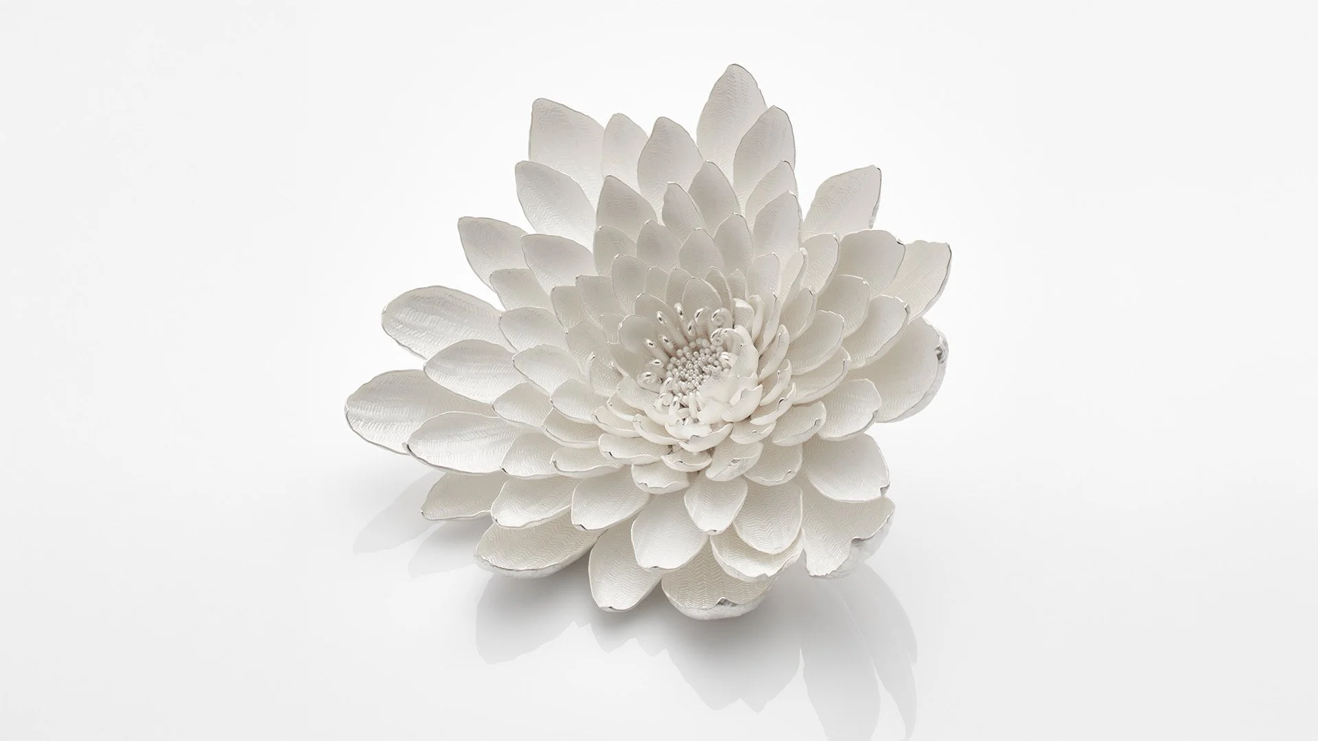 JM907.mori.sassoon_1(c)_Sylvain Deleu_Extended.jpg