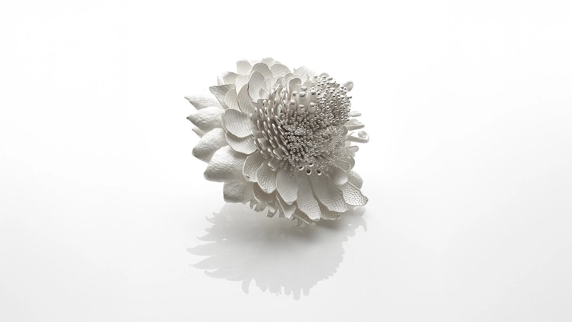 JM861.mori.sassoon_(c)Sylvain Deleu_Extended.jpg