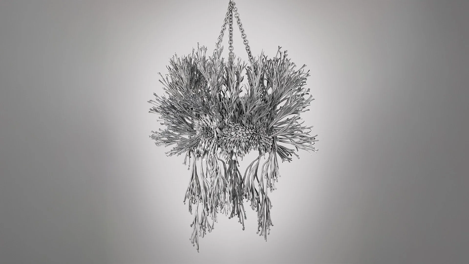 JM991.mori.sassoon_(c) Stephen Heaton_Extended.jpg