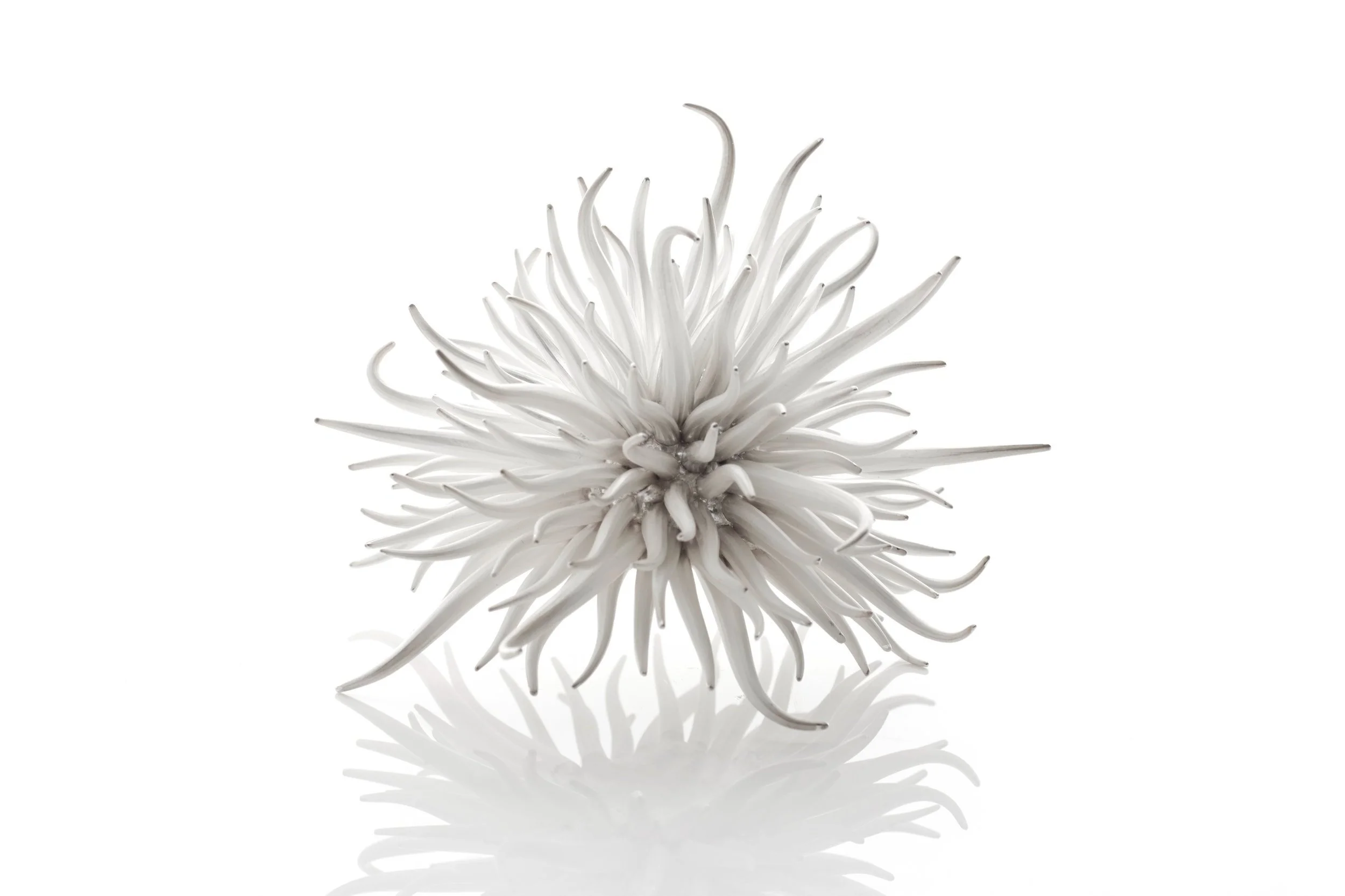 JM906.mori.sassoon_1_(c)Sylvain Deleu.jpg