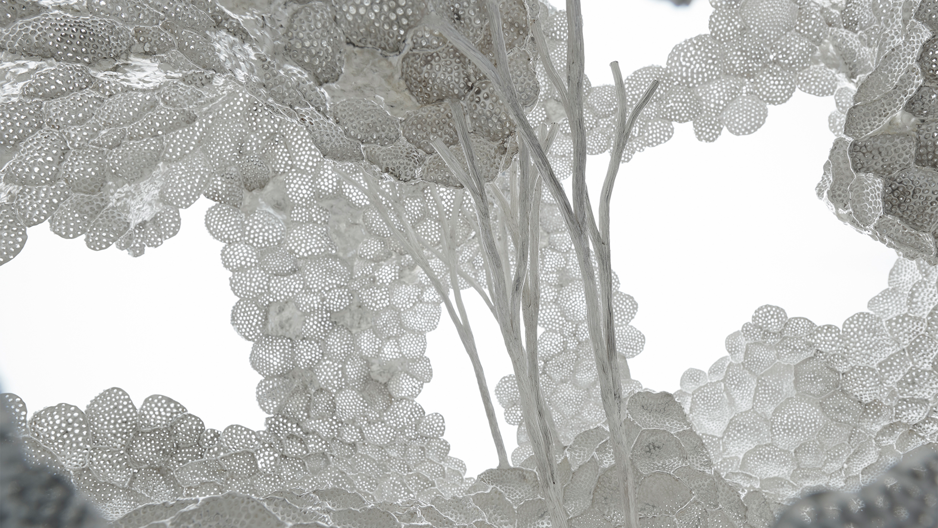 3_JM712.mori.sassoon_(c)Sylvain Deleu_Extended.png