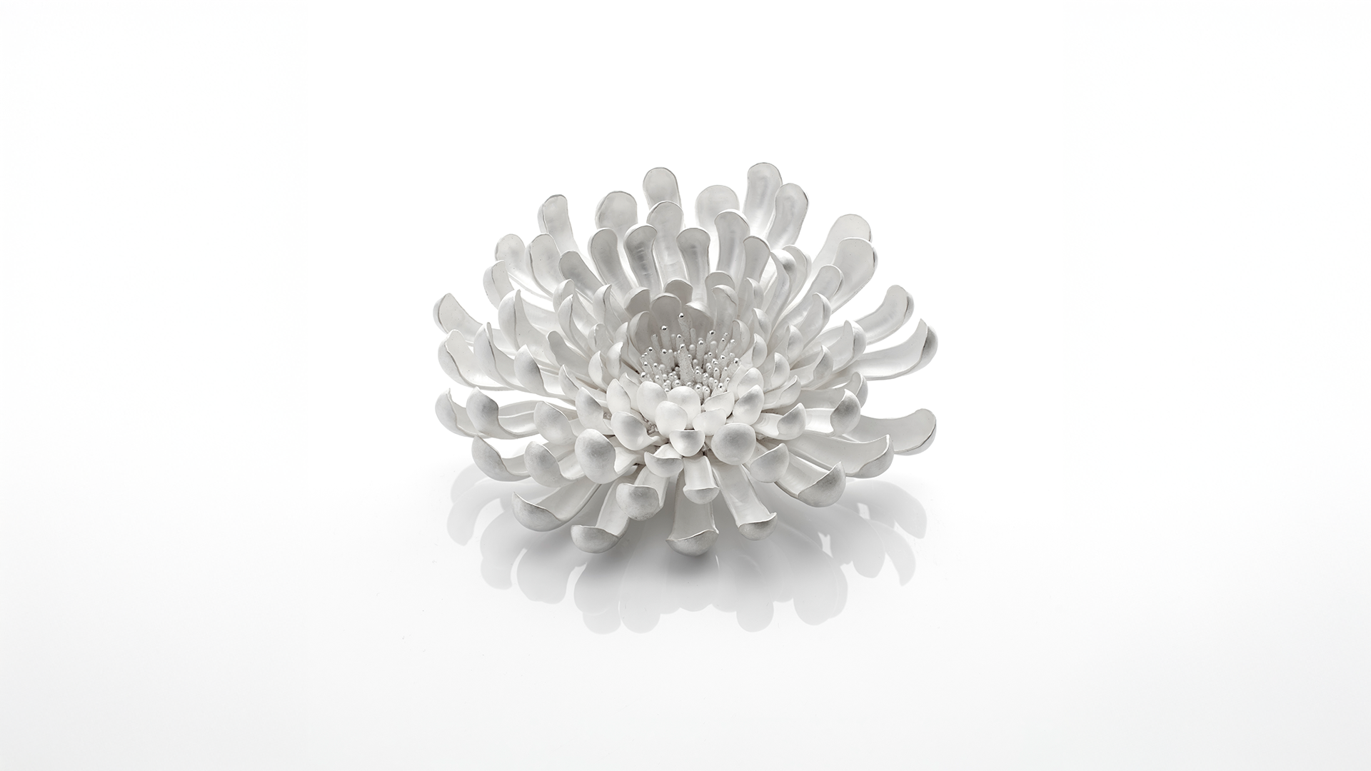 JM933.mori.sassoon_(c) Sylvain Deleu_Extended.png