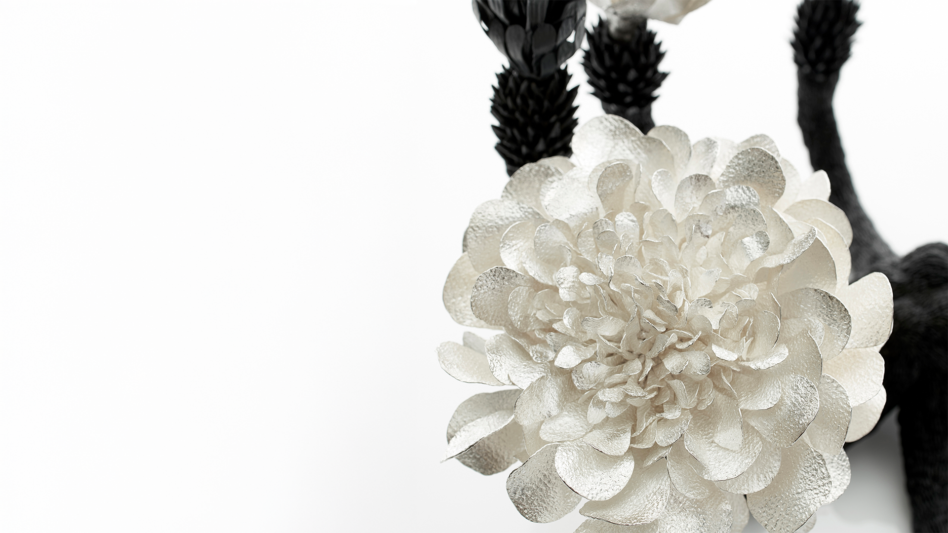 JM637.mori.sassoon.2_(c)Sylvain Deleu_Extended.png