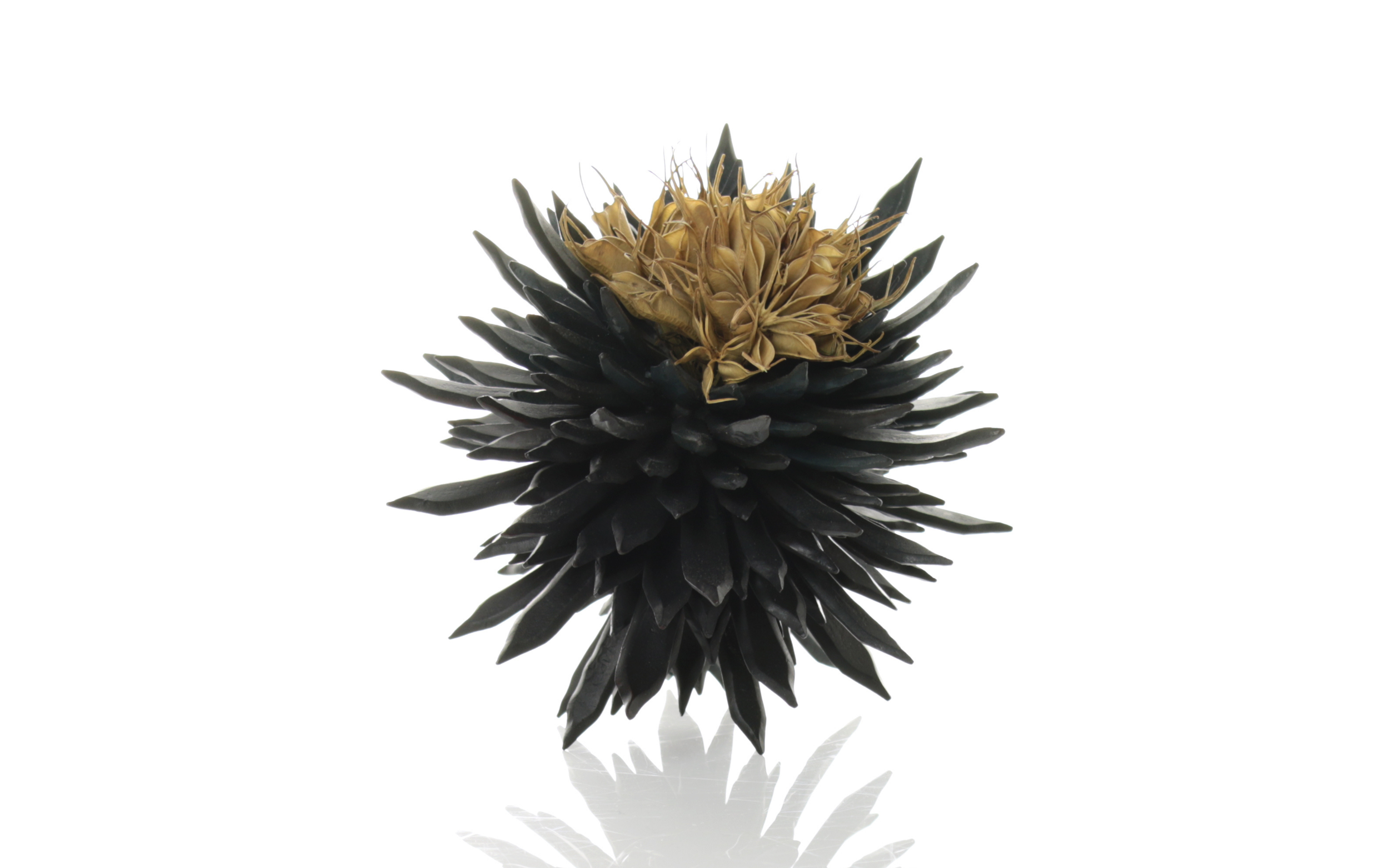 Untitled design-17.png