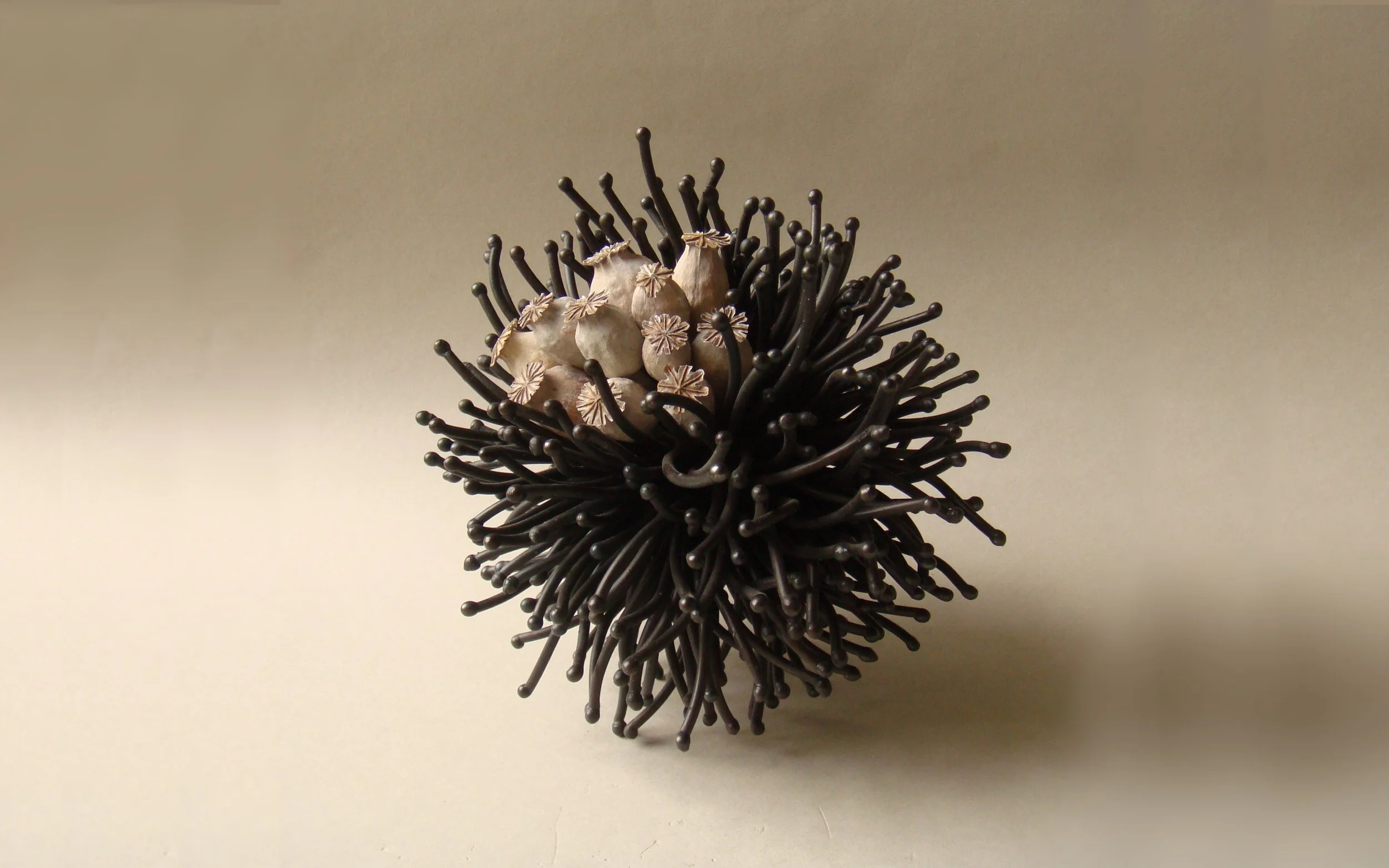 Untitled design-22.jpg