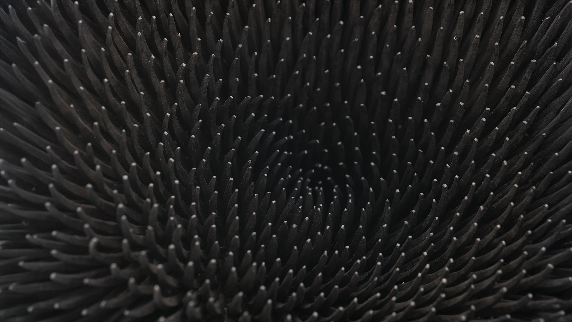 JM847_Sylvain Deleu_5 (1)_Extended.png